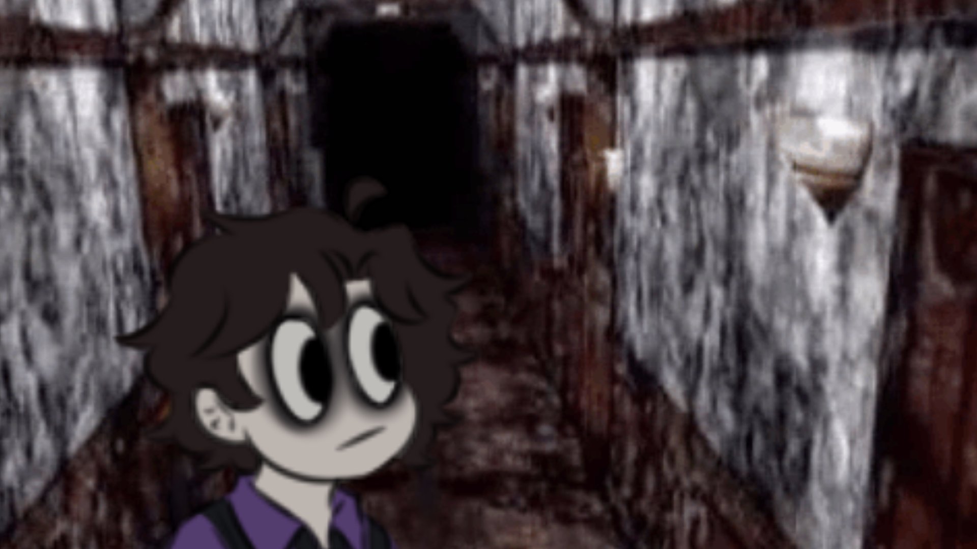 SleepyNiko5 banner