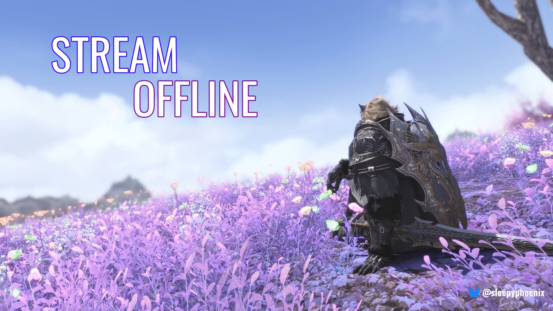 SleepyPhoenix_ banner