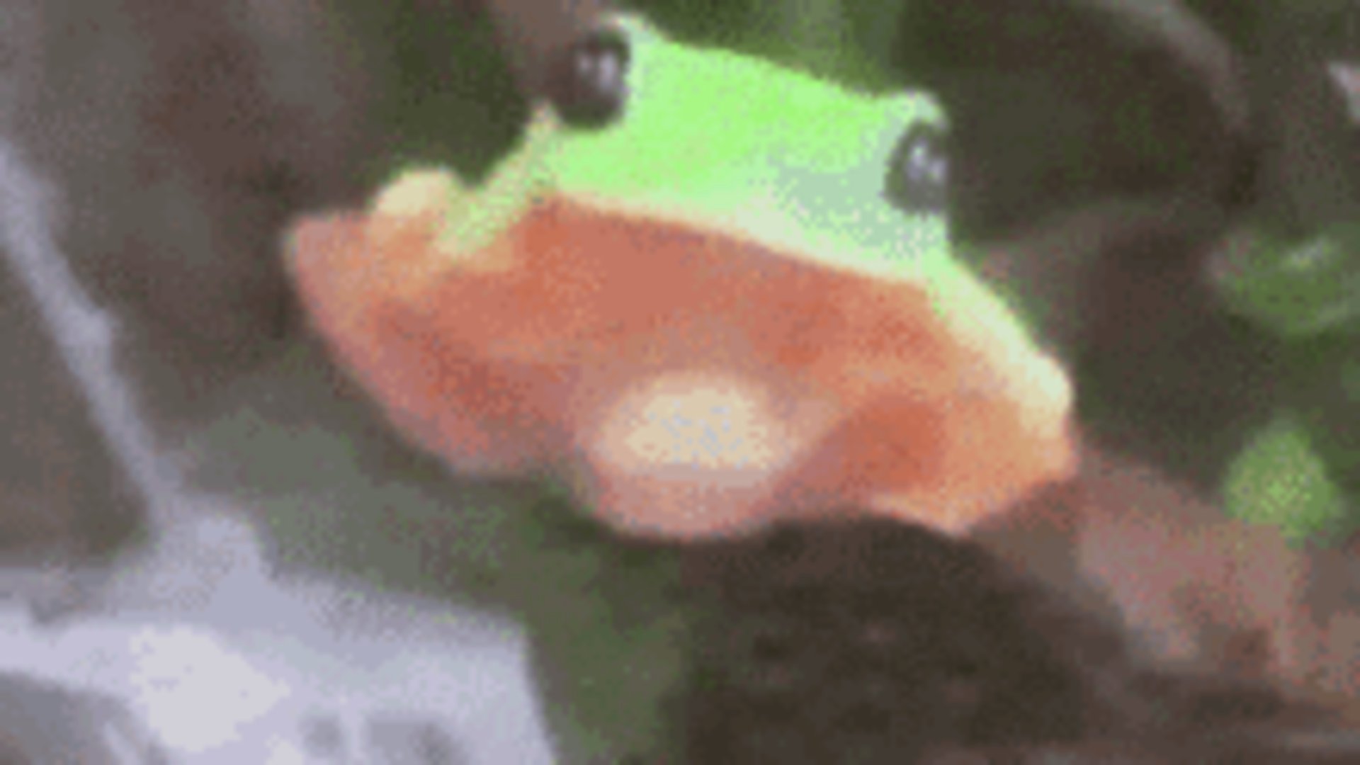 Sm0lAccalia banner