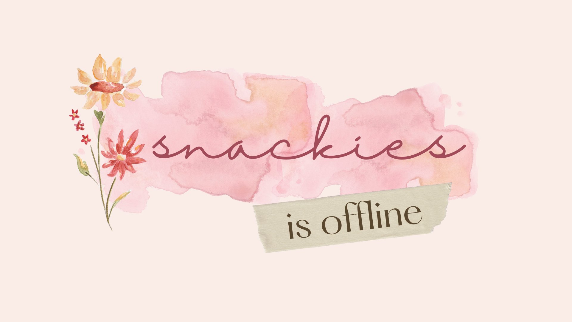 snackies banner