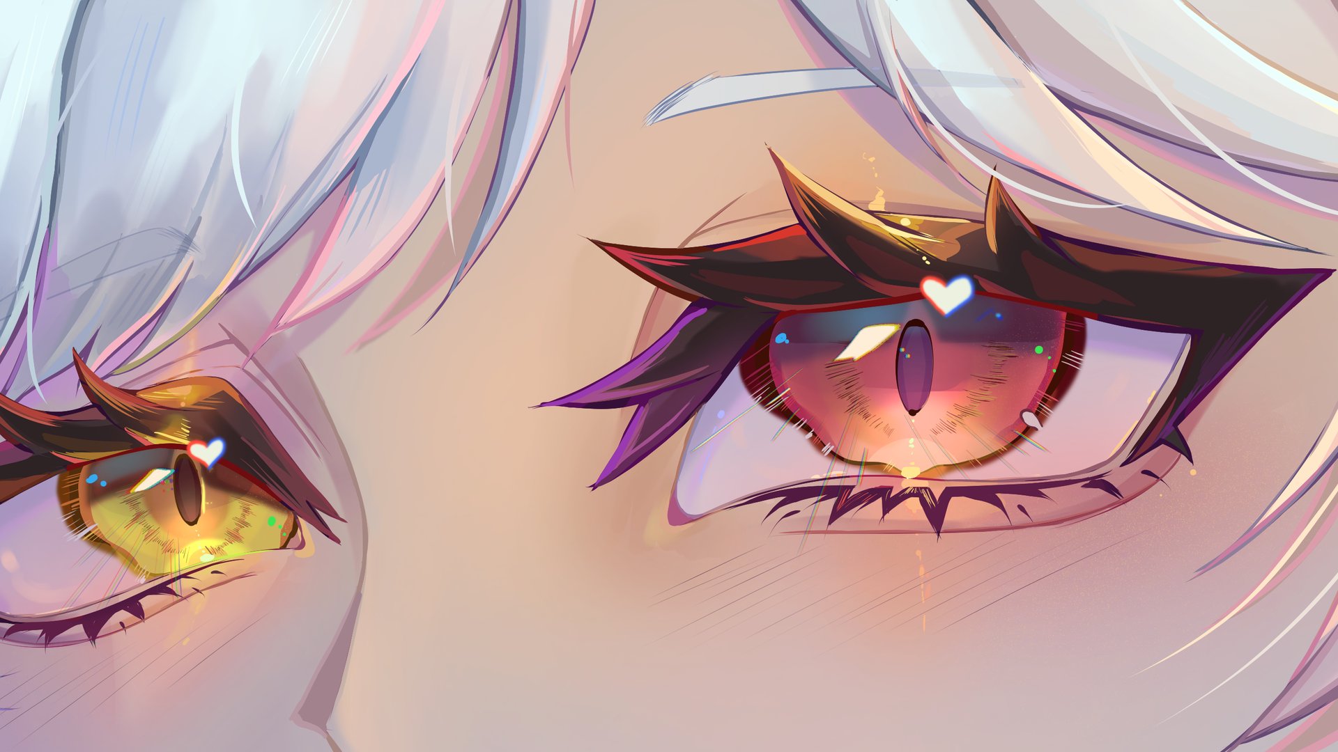 Snopaws banner