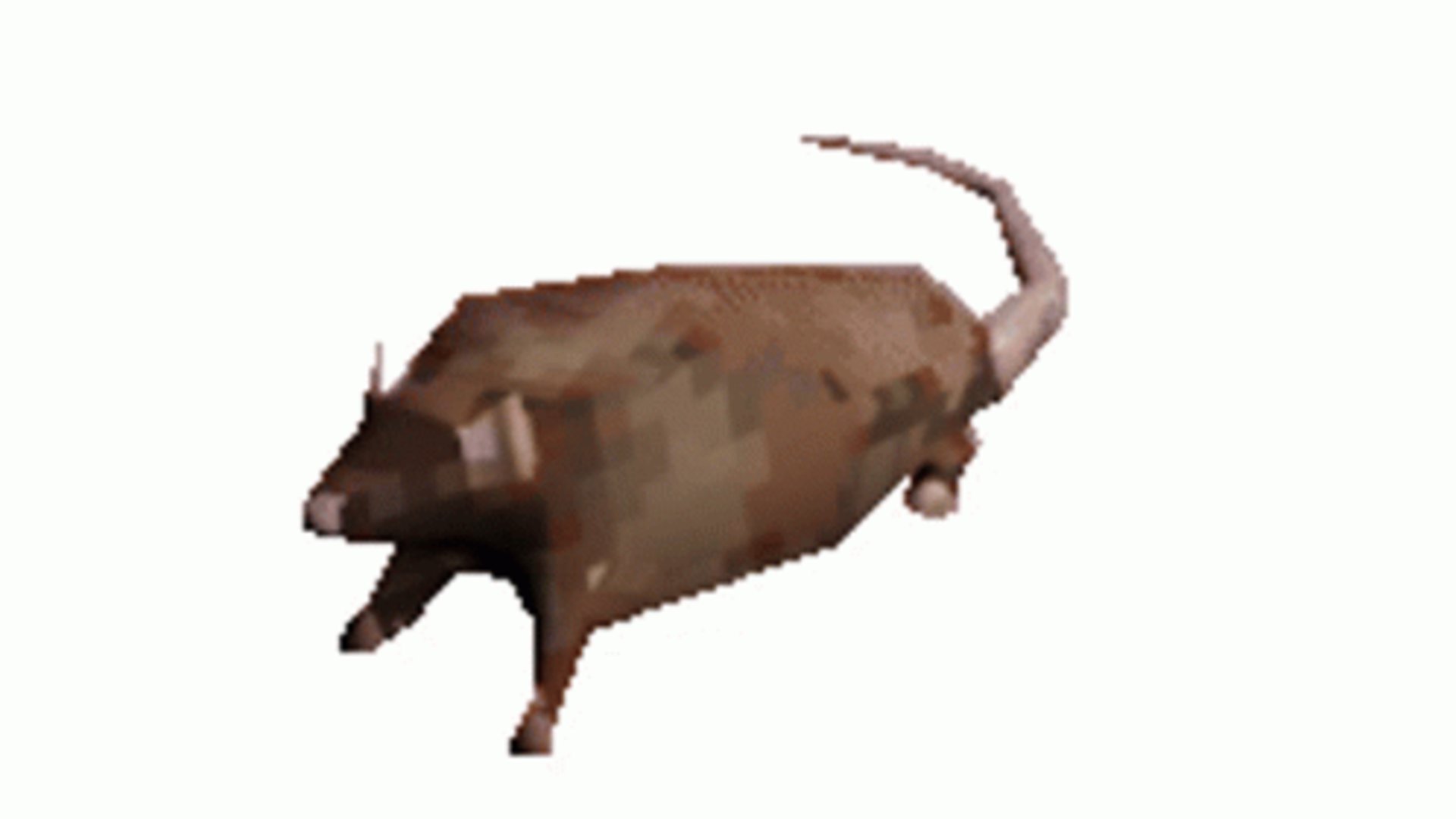 SockratesTheRat banner