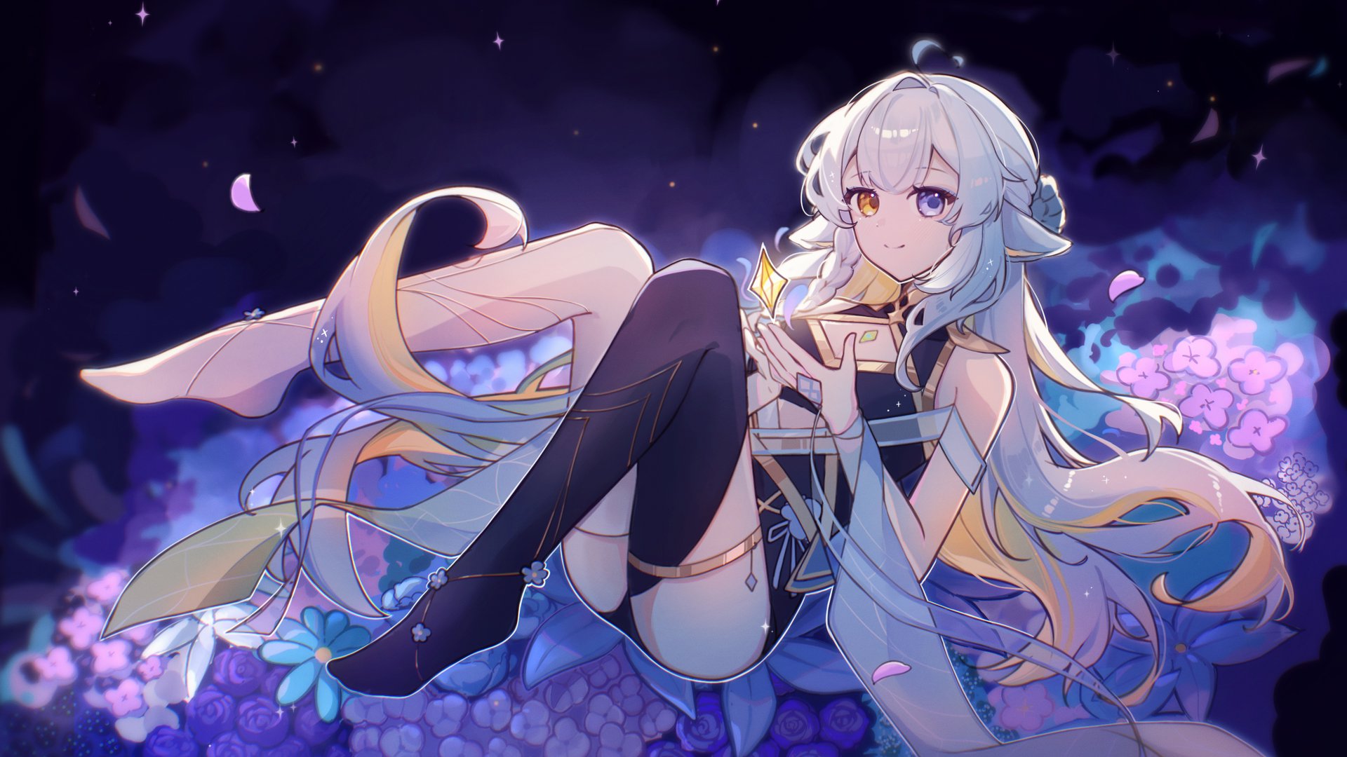 solovari banner