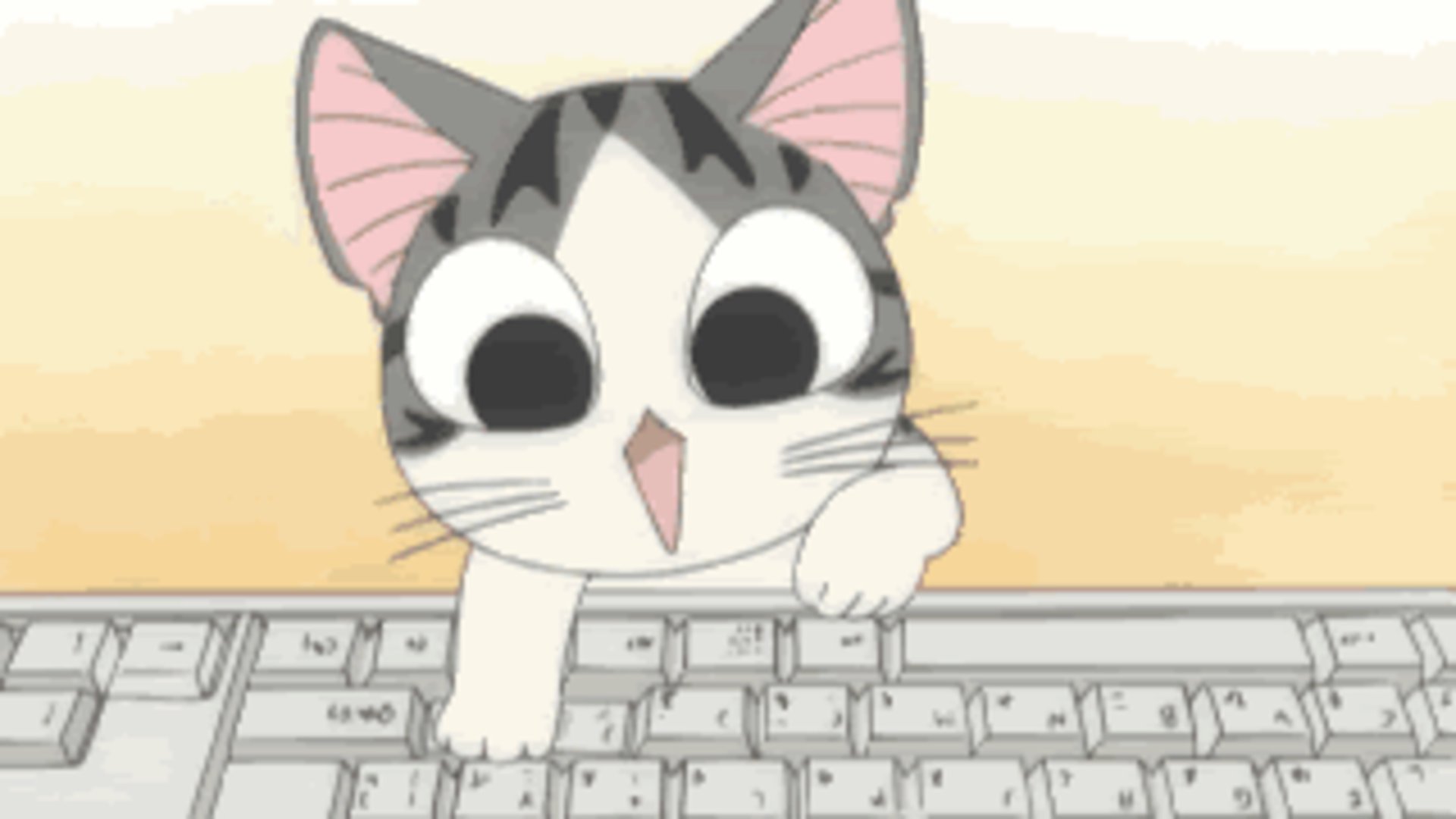 sora_lp312 banner