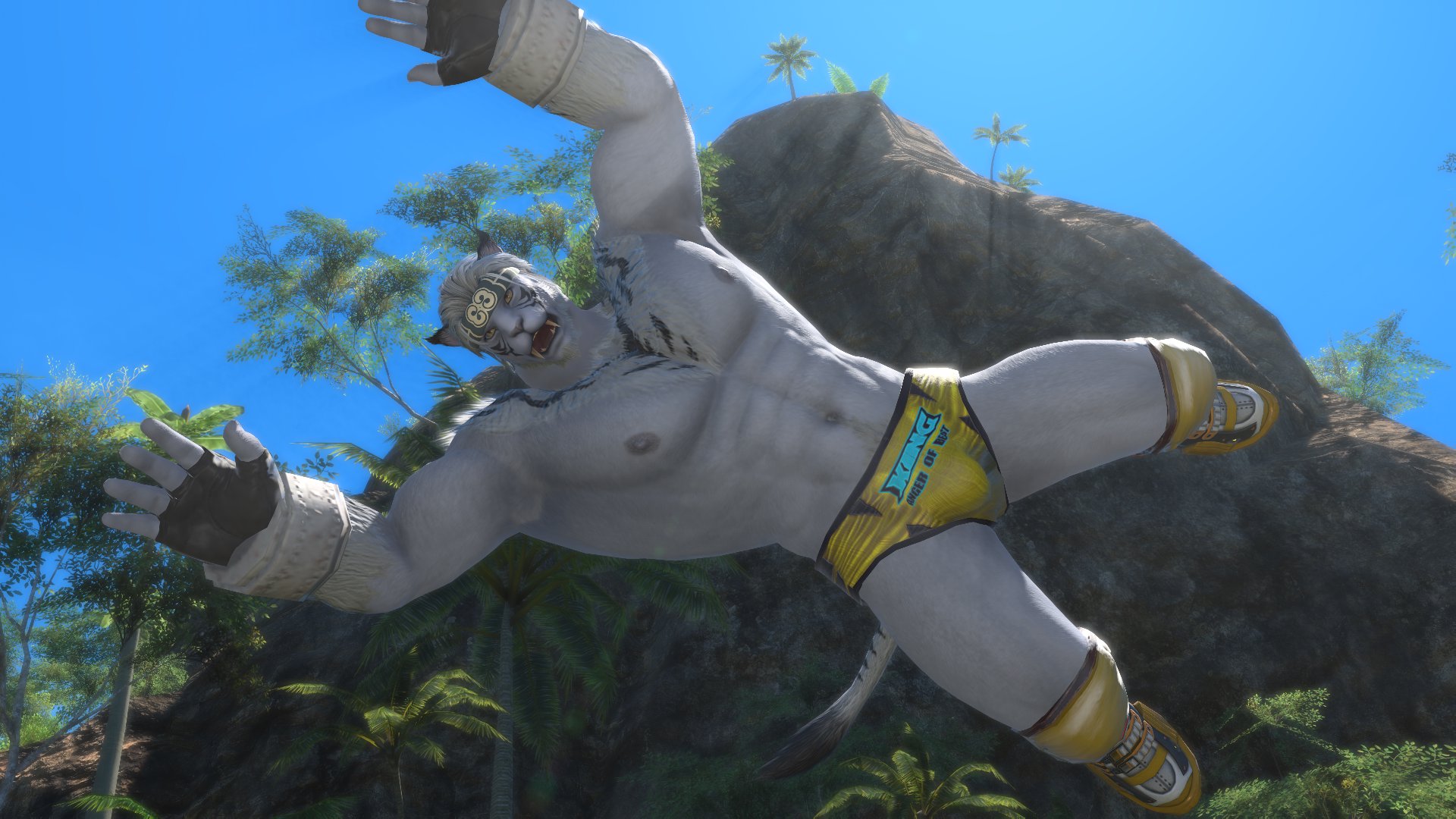 SorenXIV banner