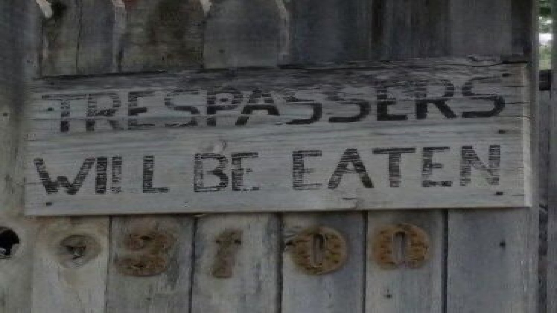 sovataito banner