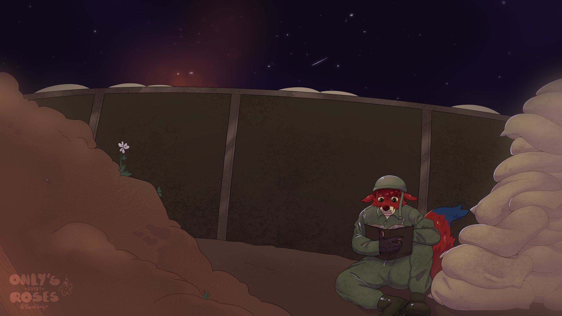 sovifoxtrot banner