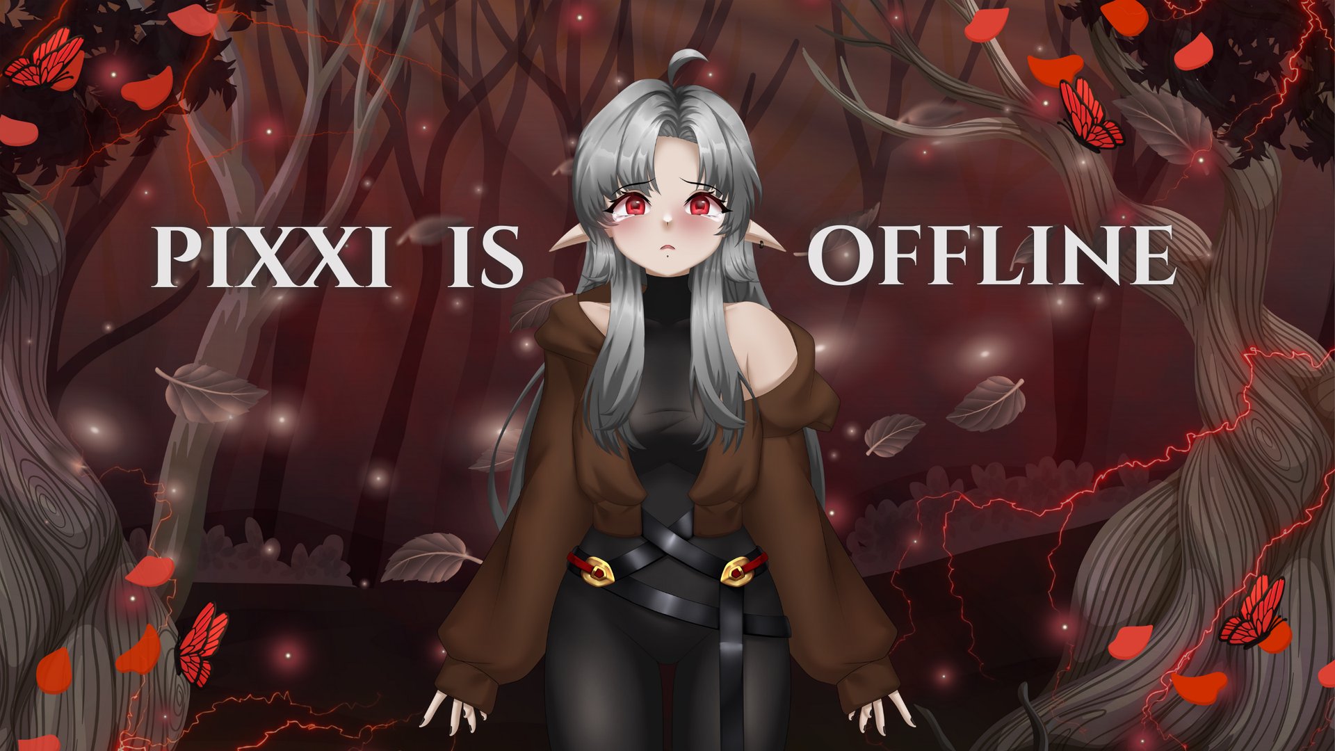 soypixxi banner