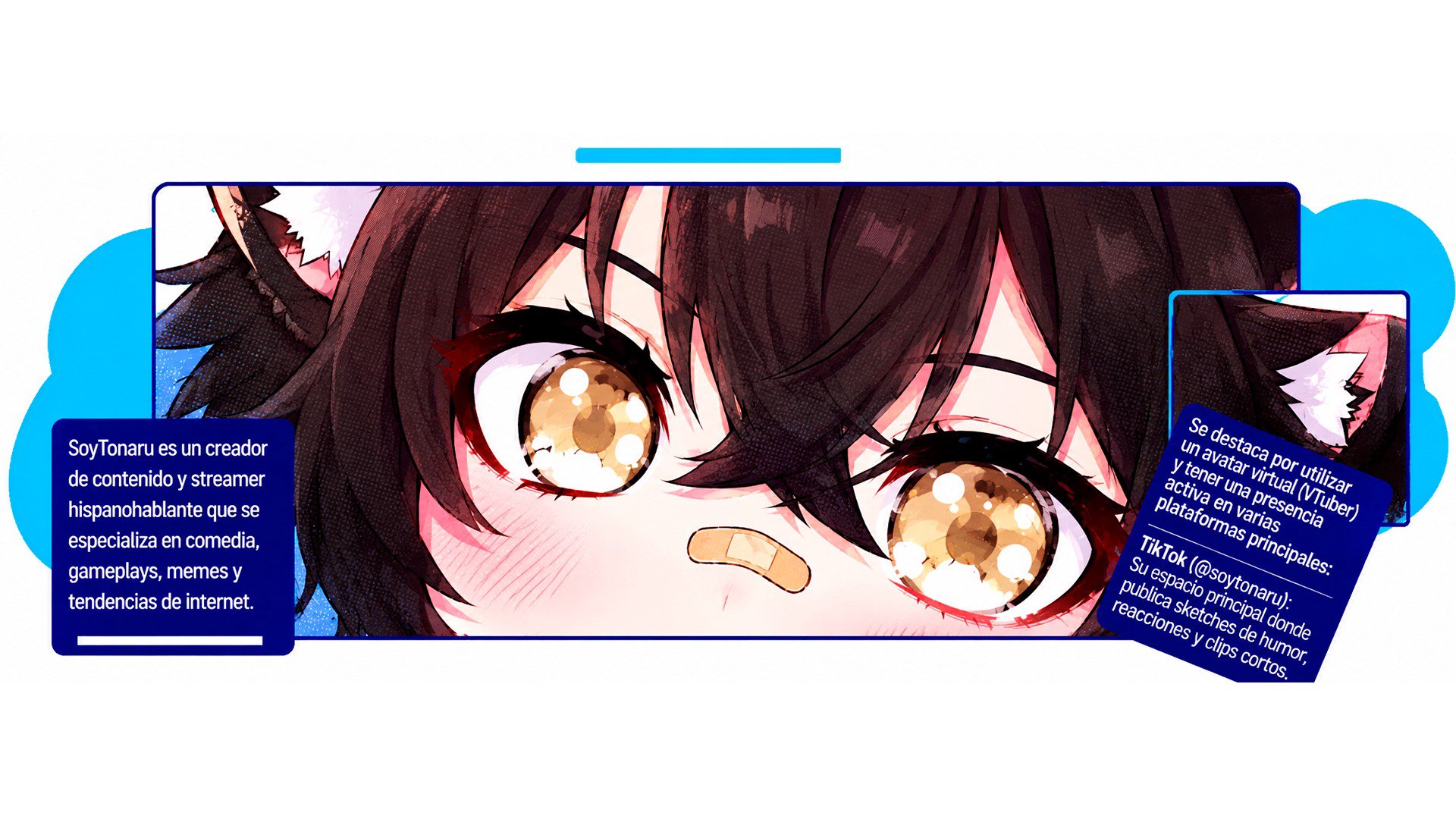 SoyTonaruVT banner