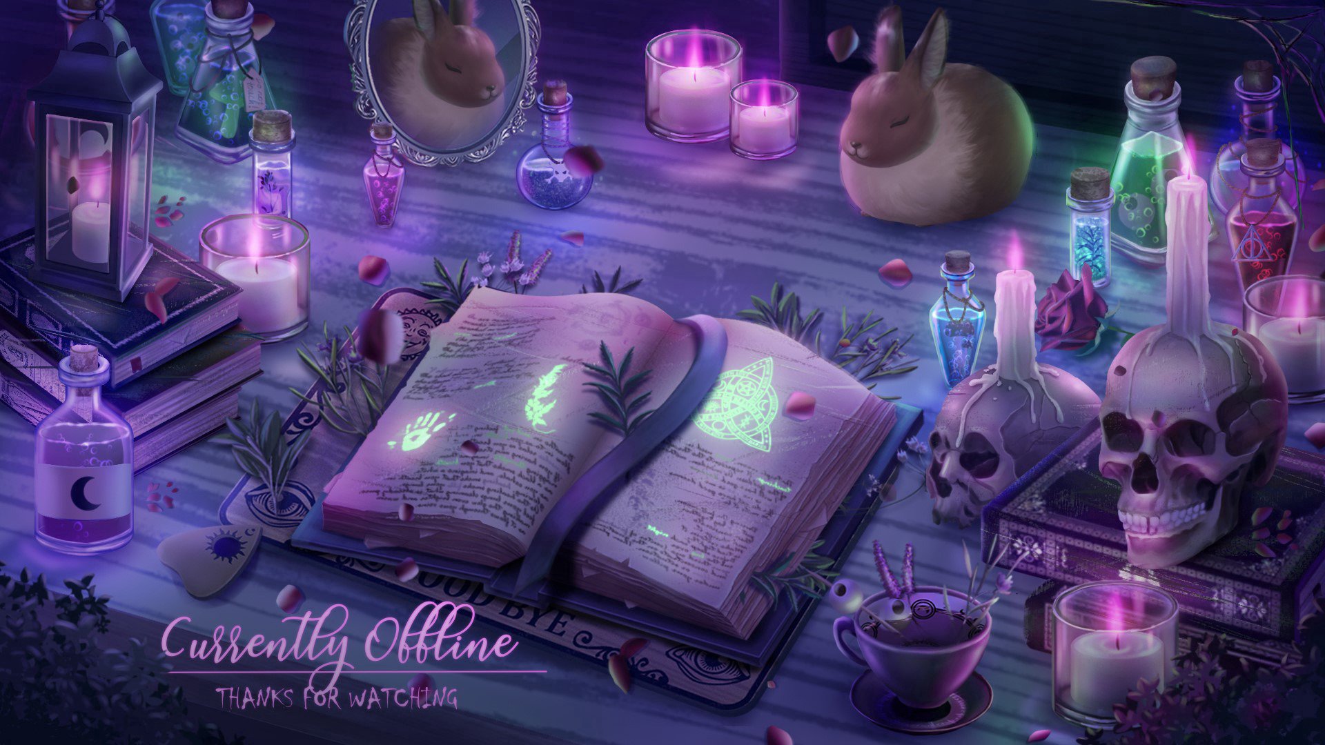 Spaces_Bunny banner