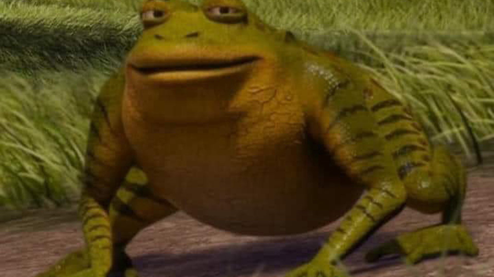 SpynalToad banner