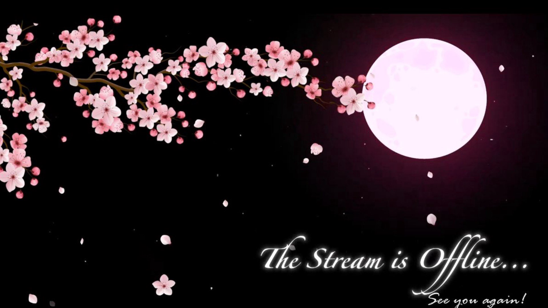 squishyybunnyy banner