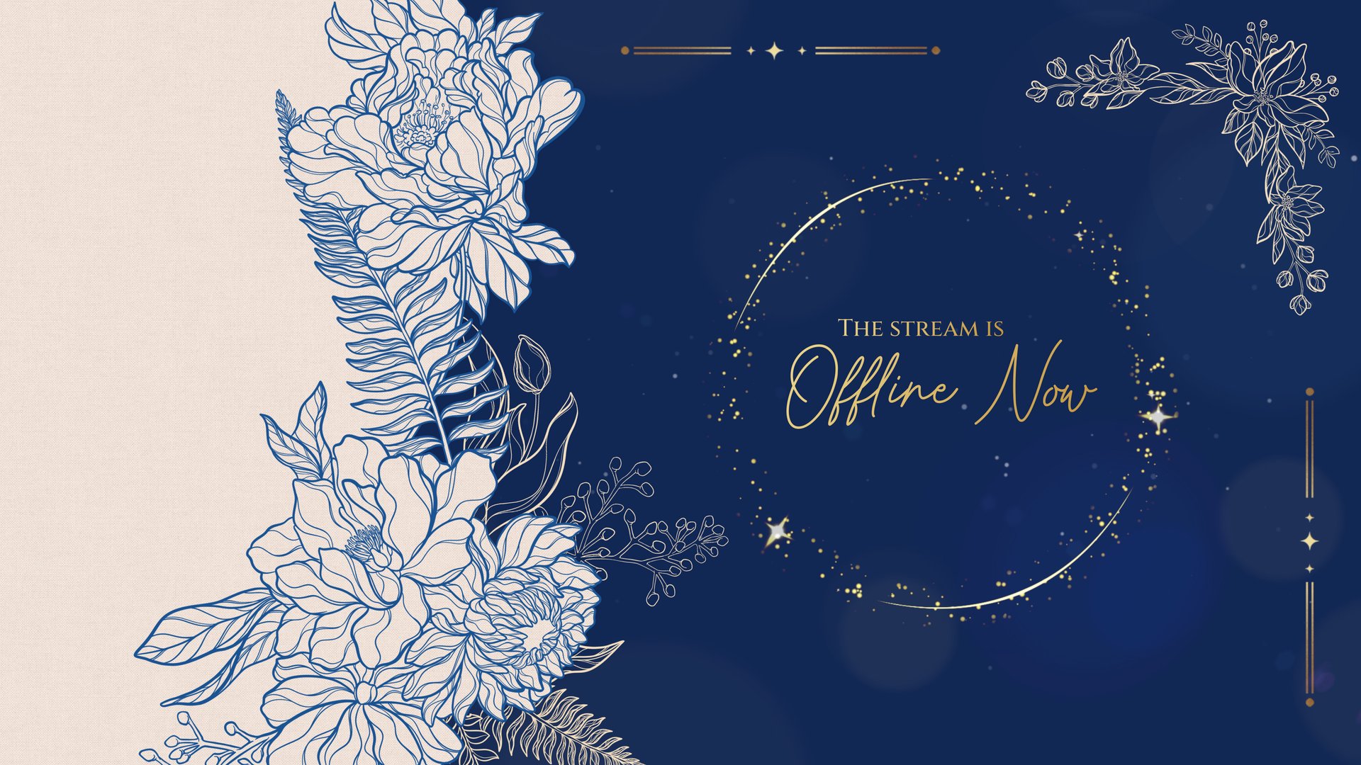 starinightskies banner