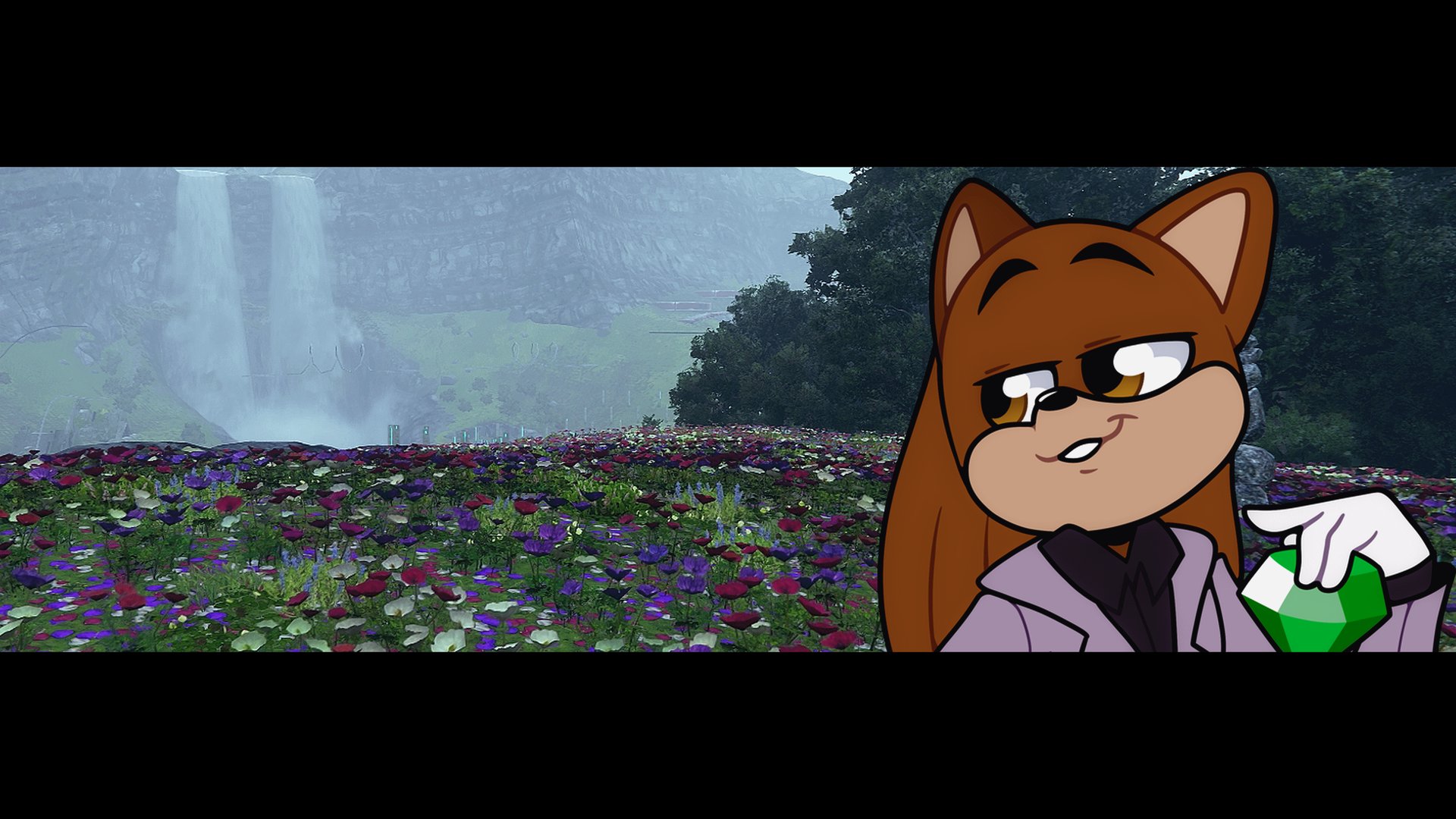 STHedgehog banner