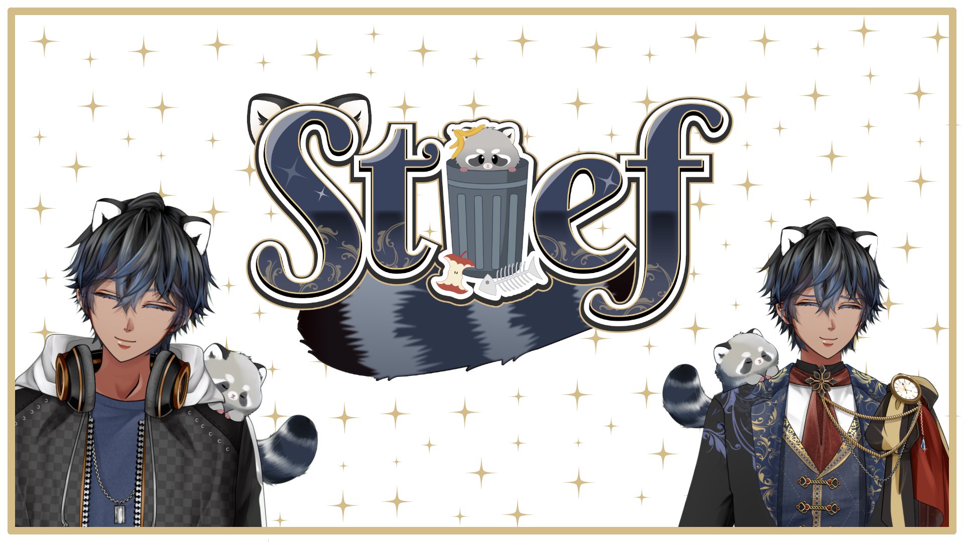 StiefVT banner