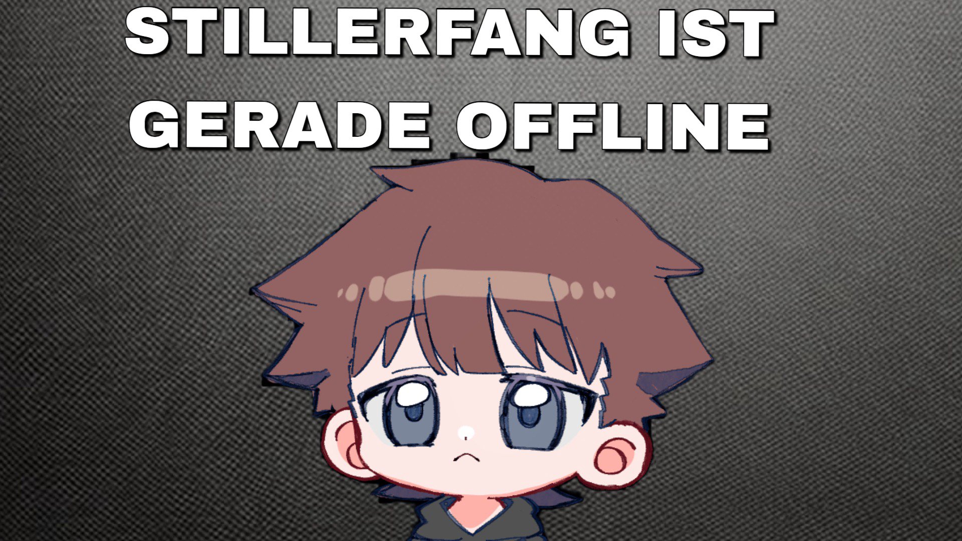 Stillerfang banner