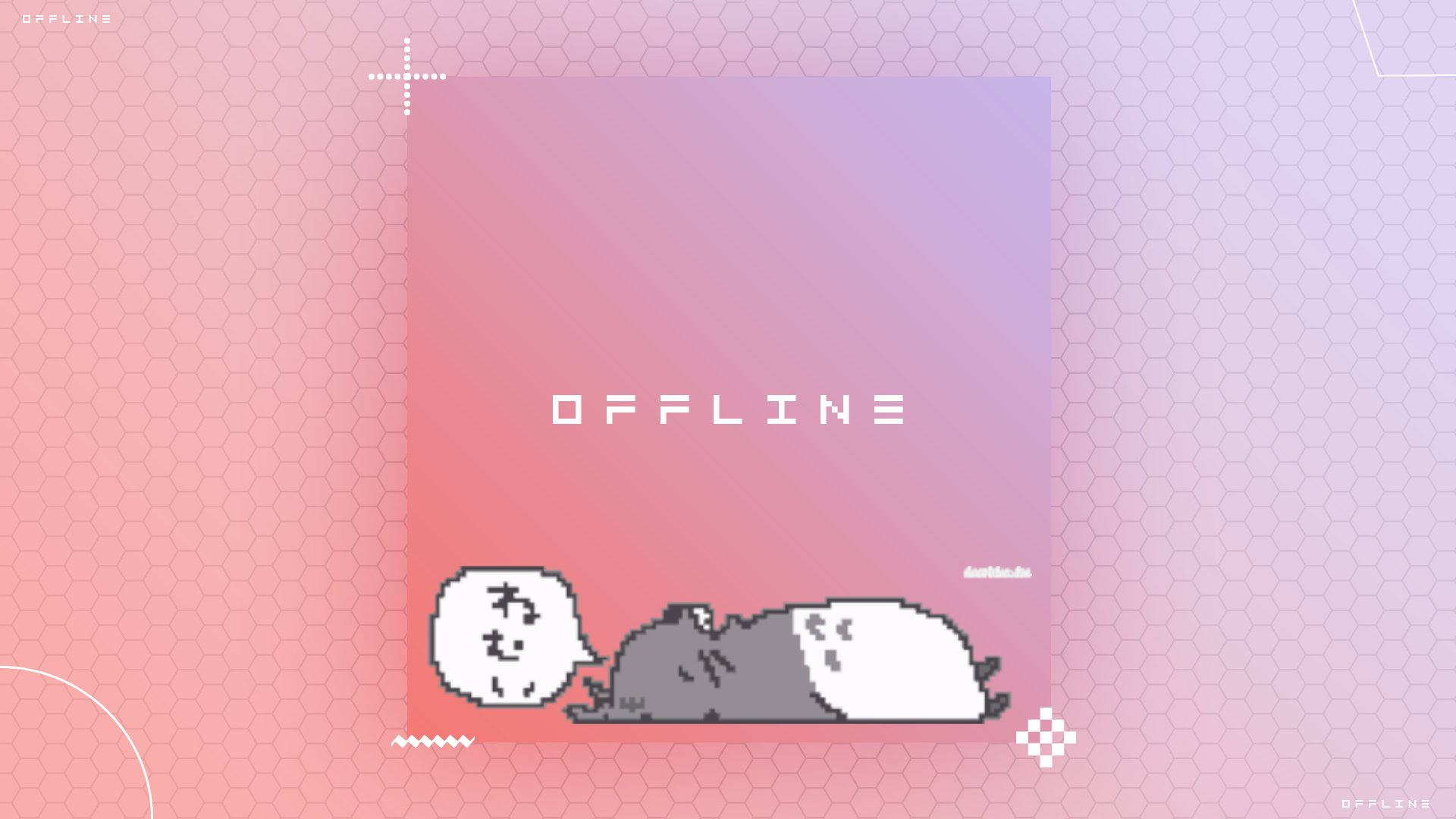 stinkynikki banner