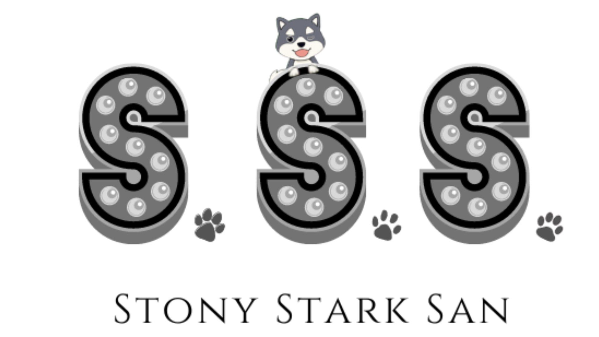 StonyStarkSan banner