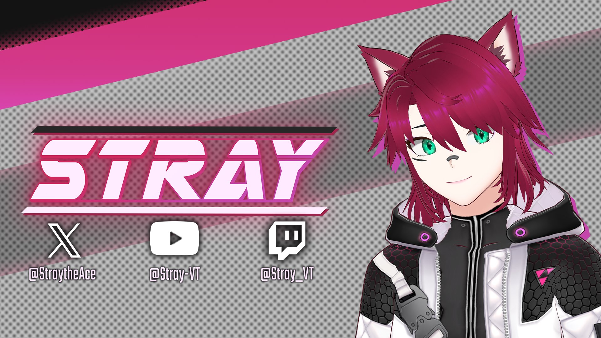 Stray_vt banner