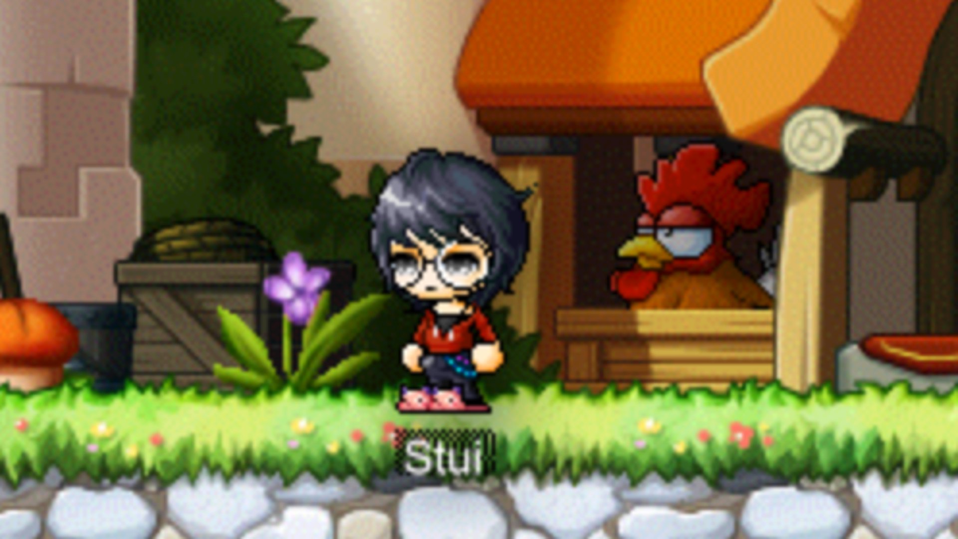 stuivt banner