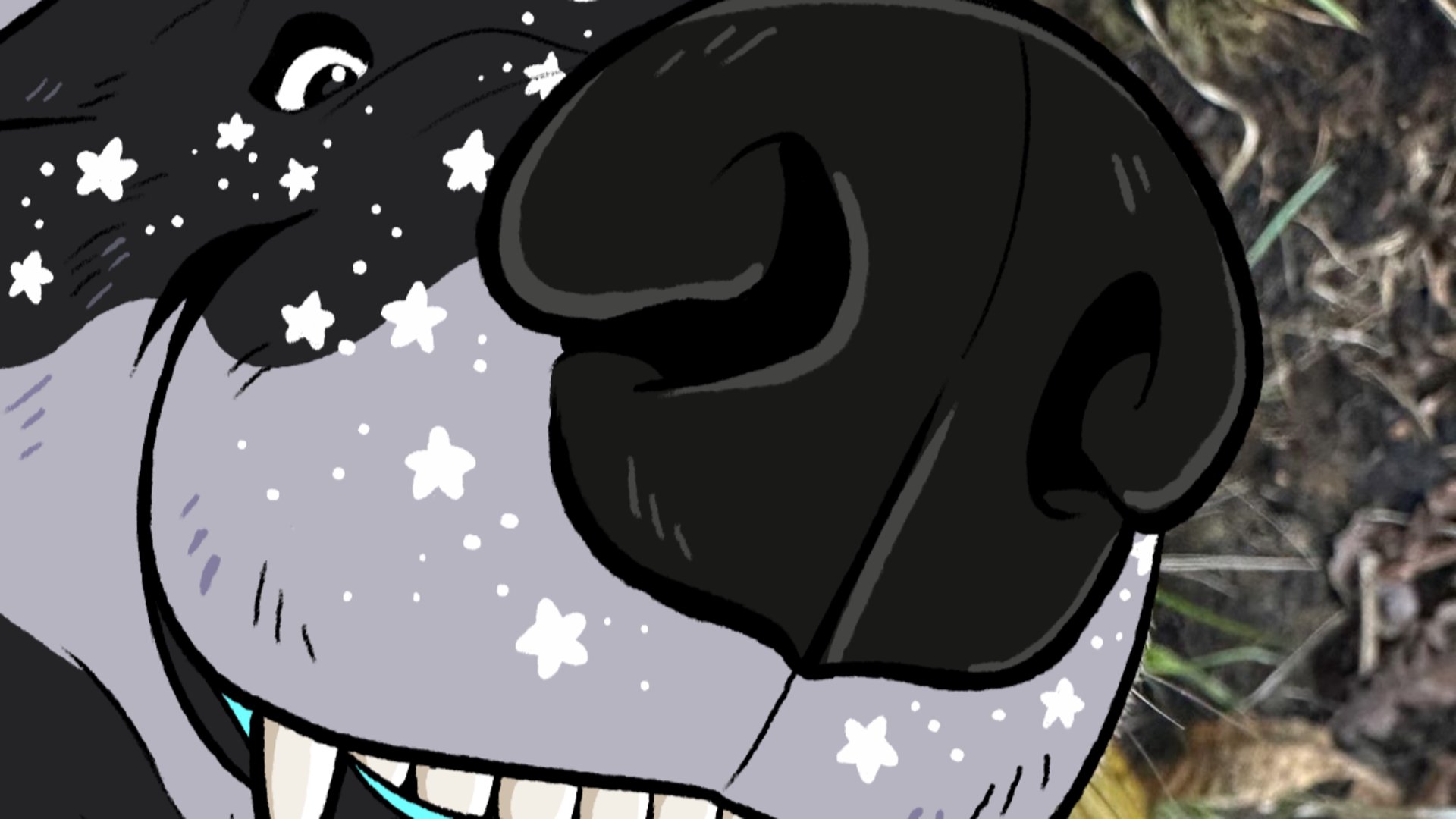 stylist44 banner
