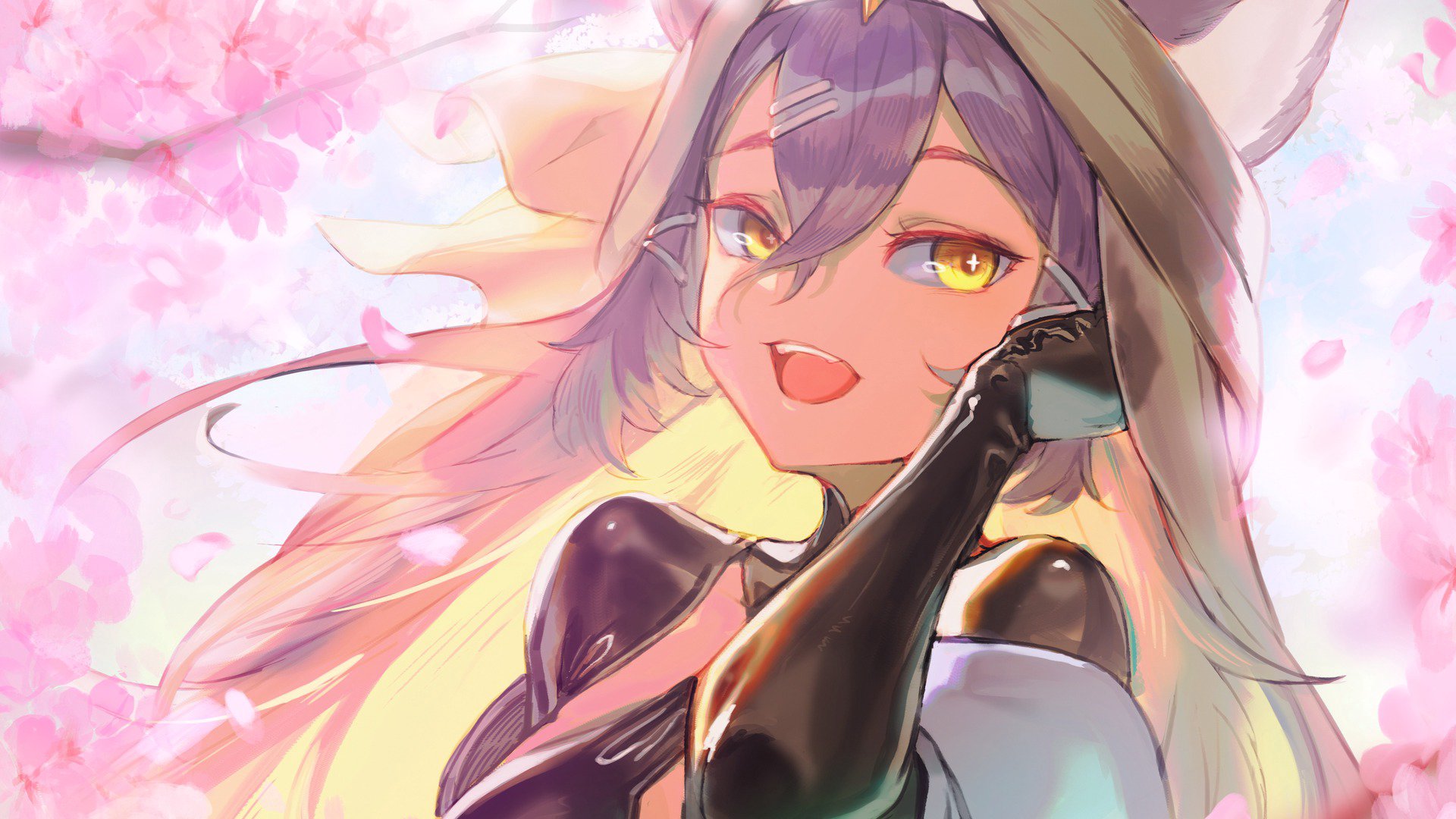 sulkycats banner