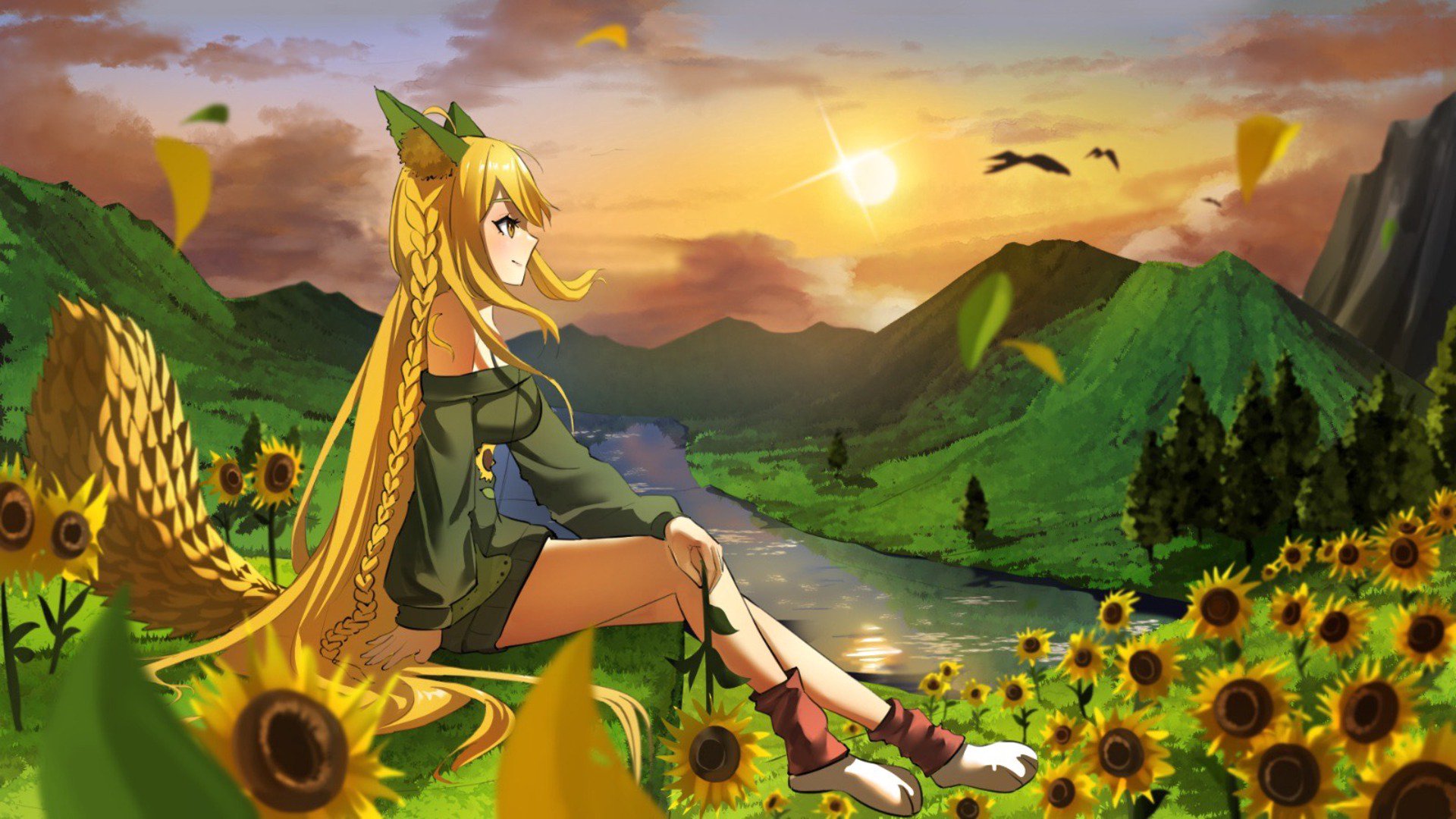 Sunflowerfy banner