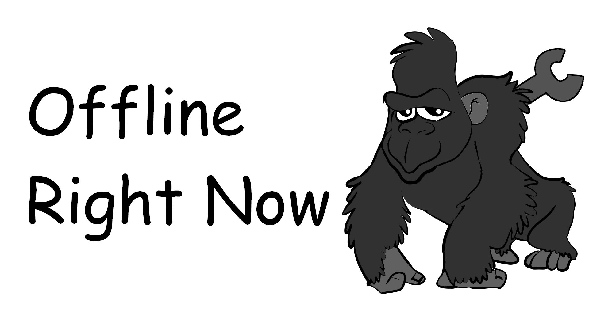surferfrog banner