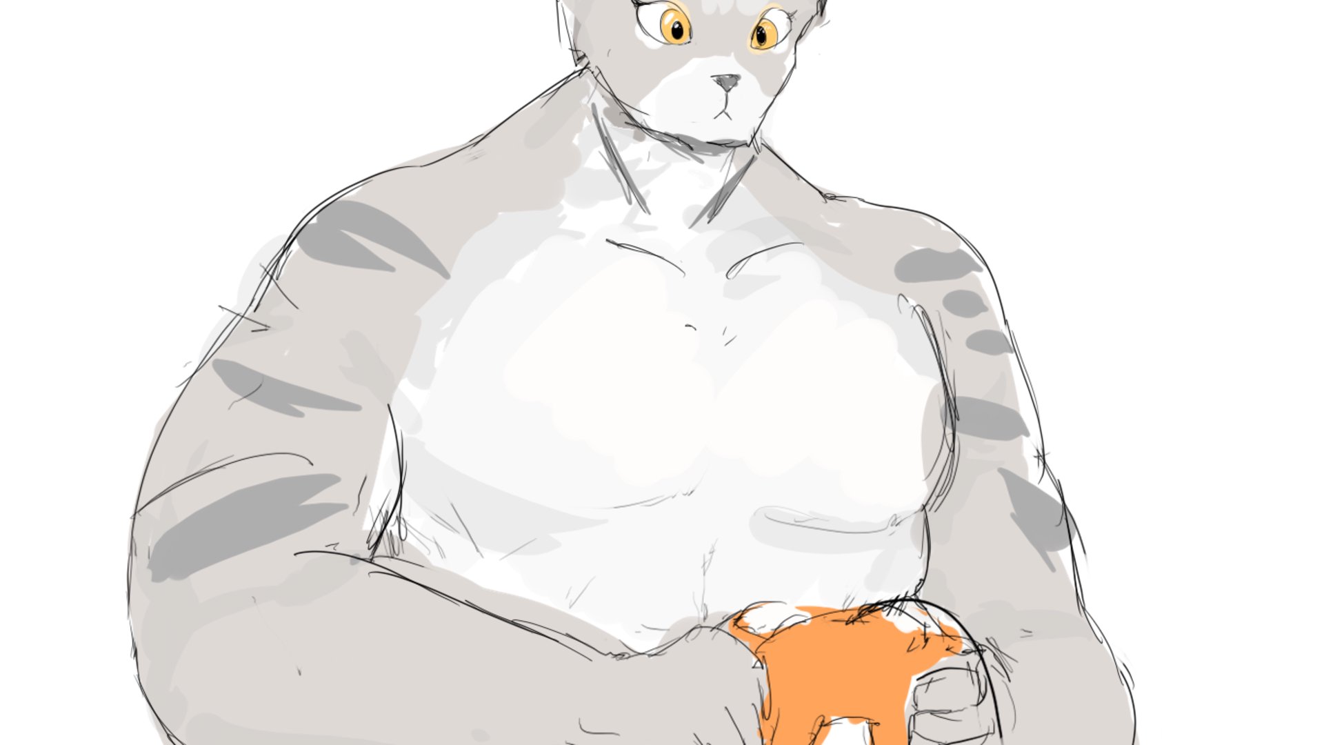 swolekat banner