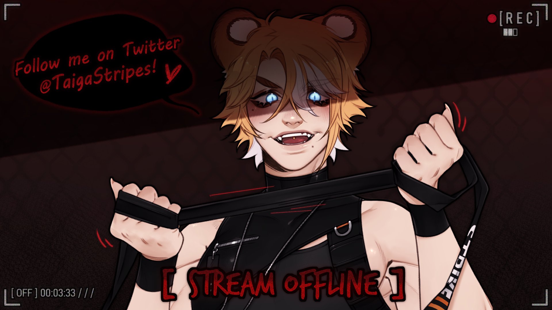TaigaStripesVT banner
