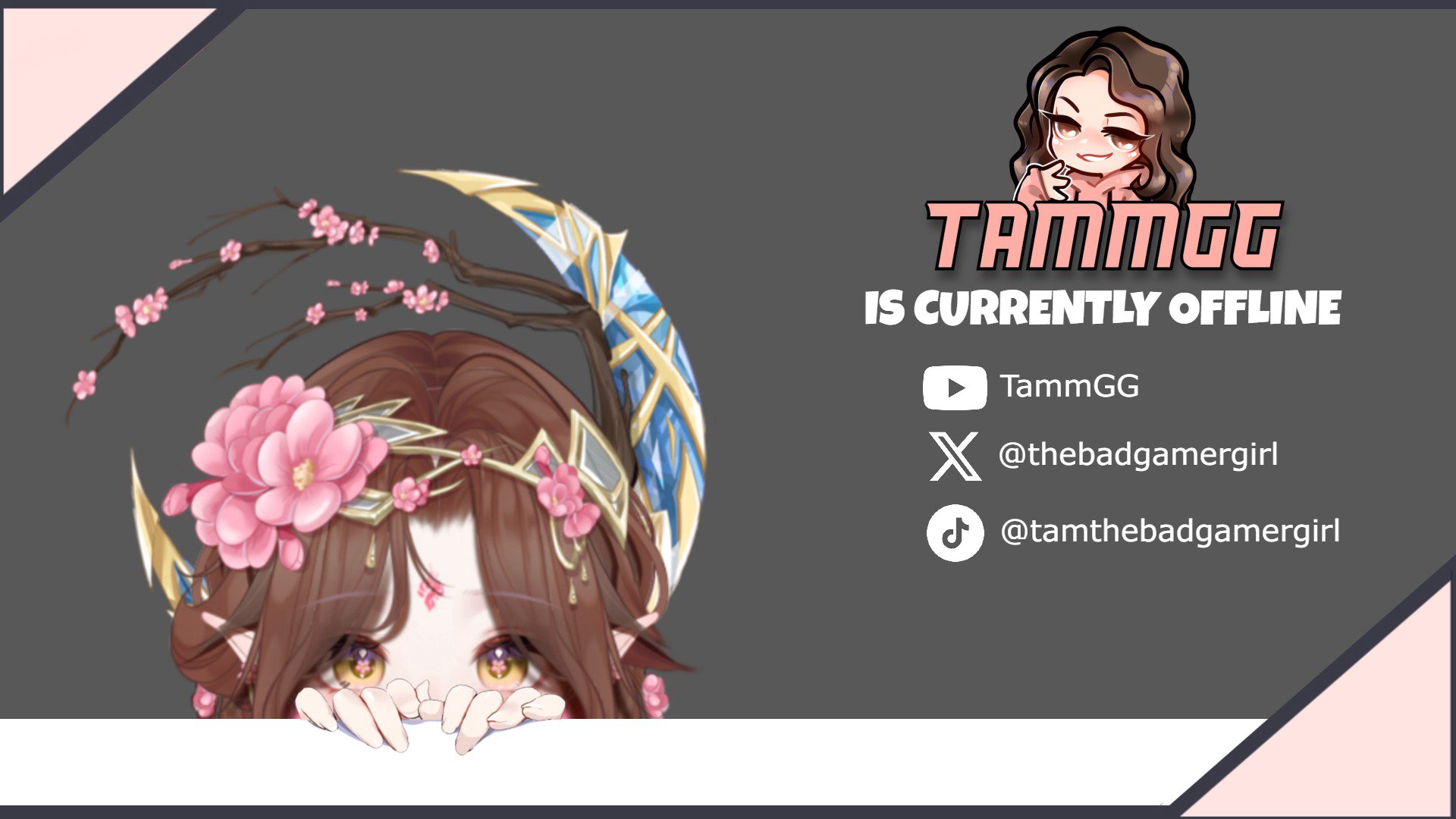 TammGG banner
