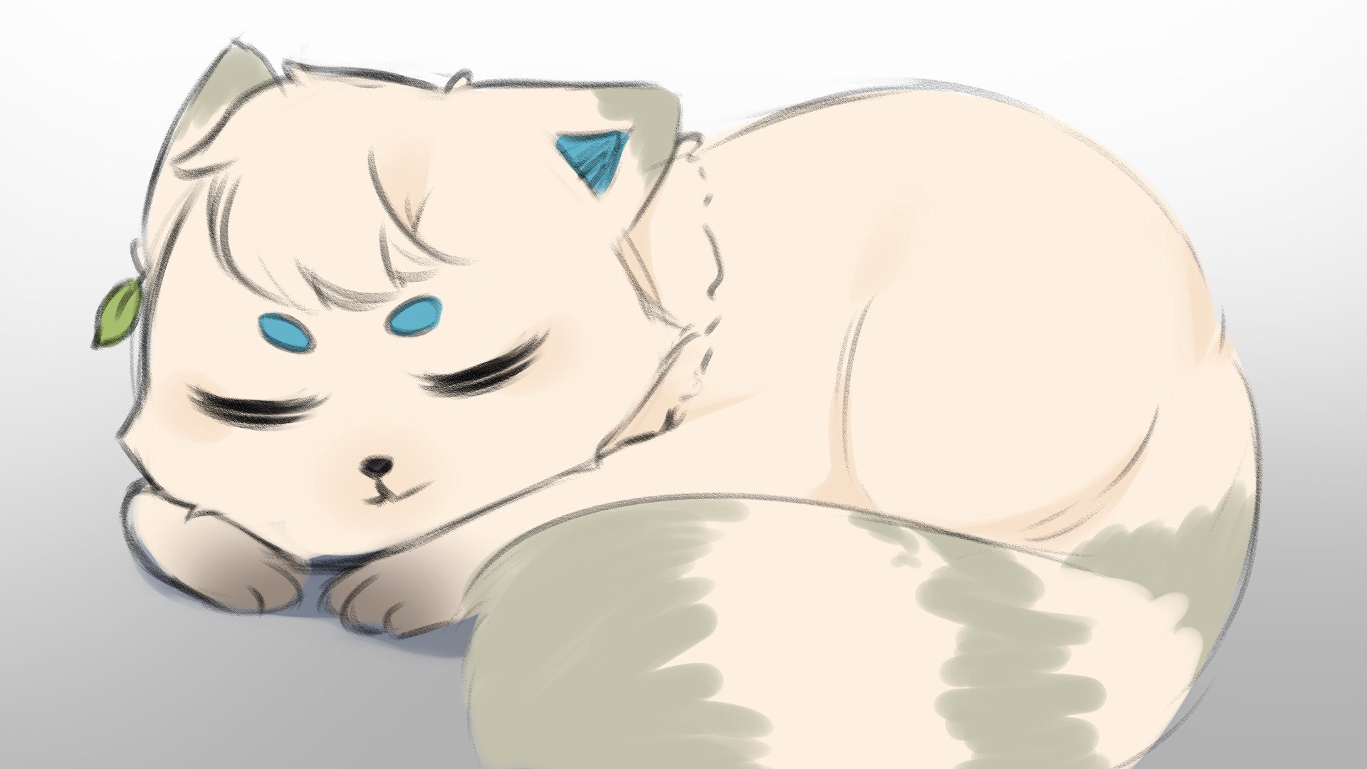 tanuCandy banner