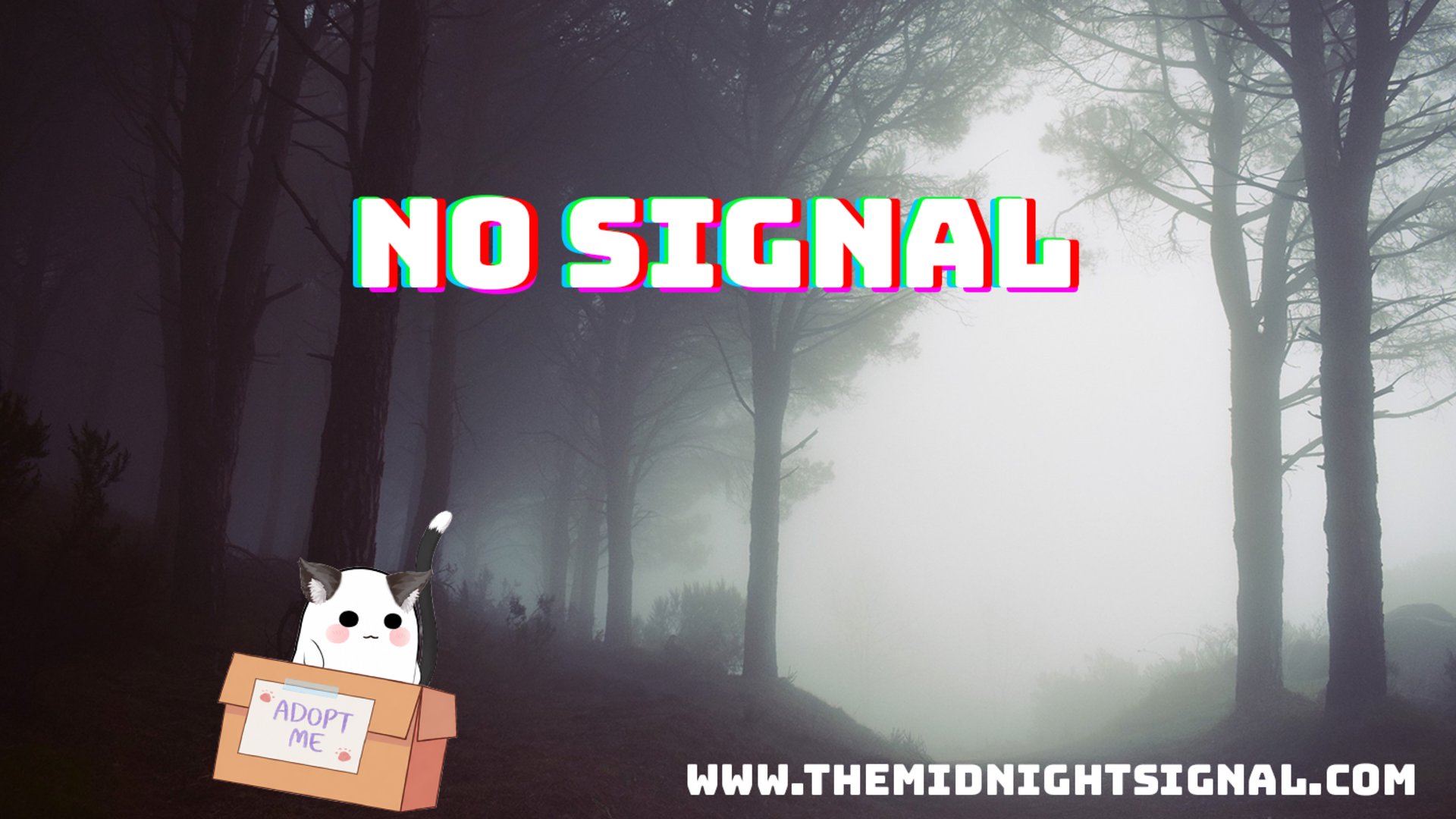 TedGhostly banner