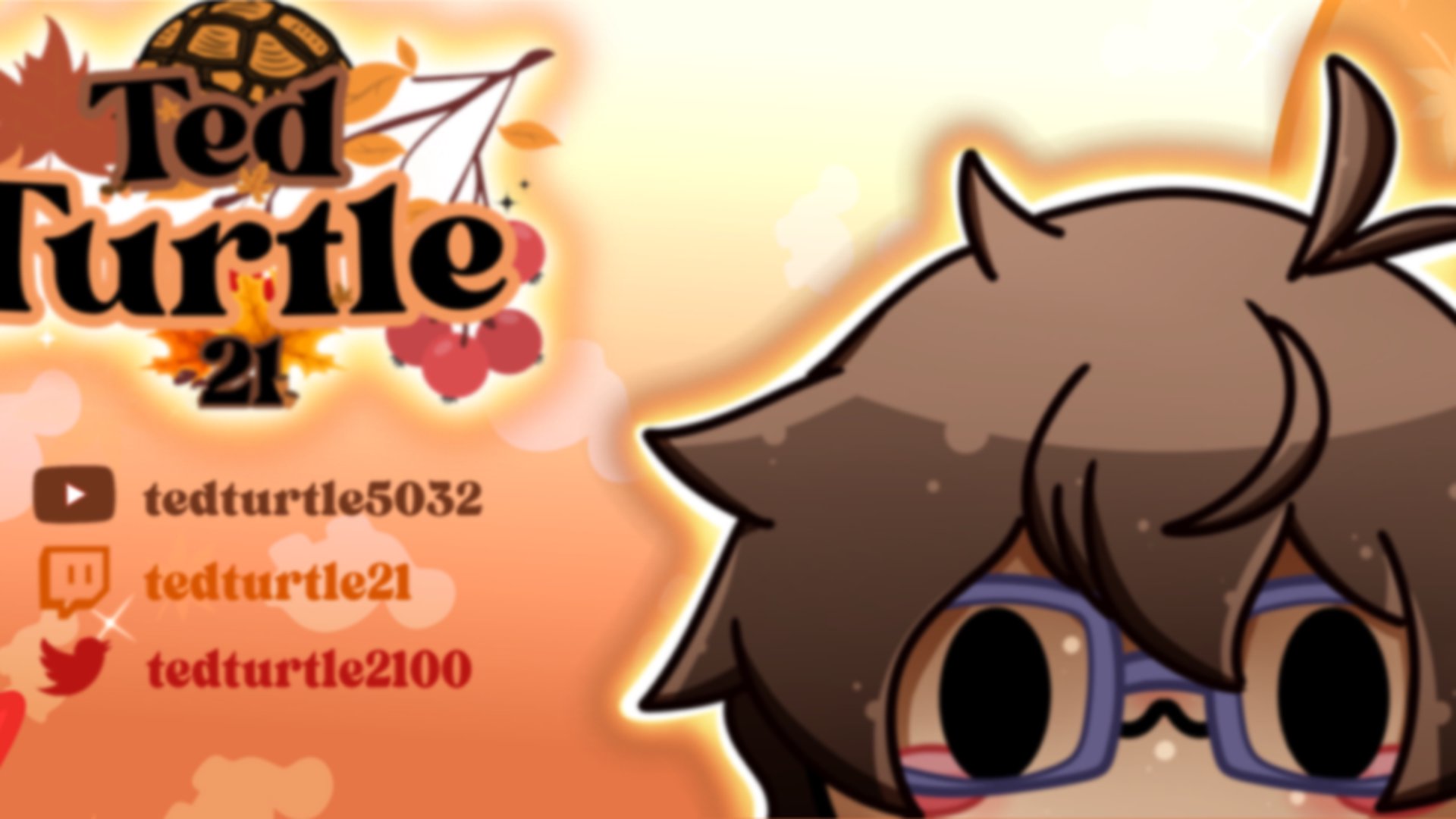 TedTurtle21 banner