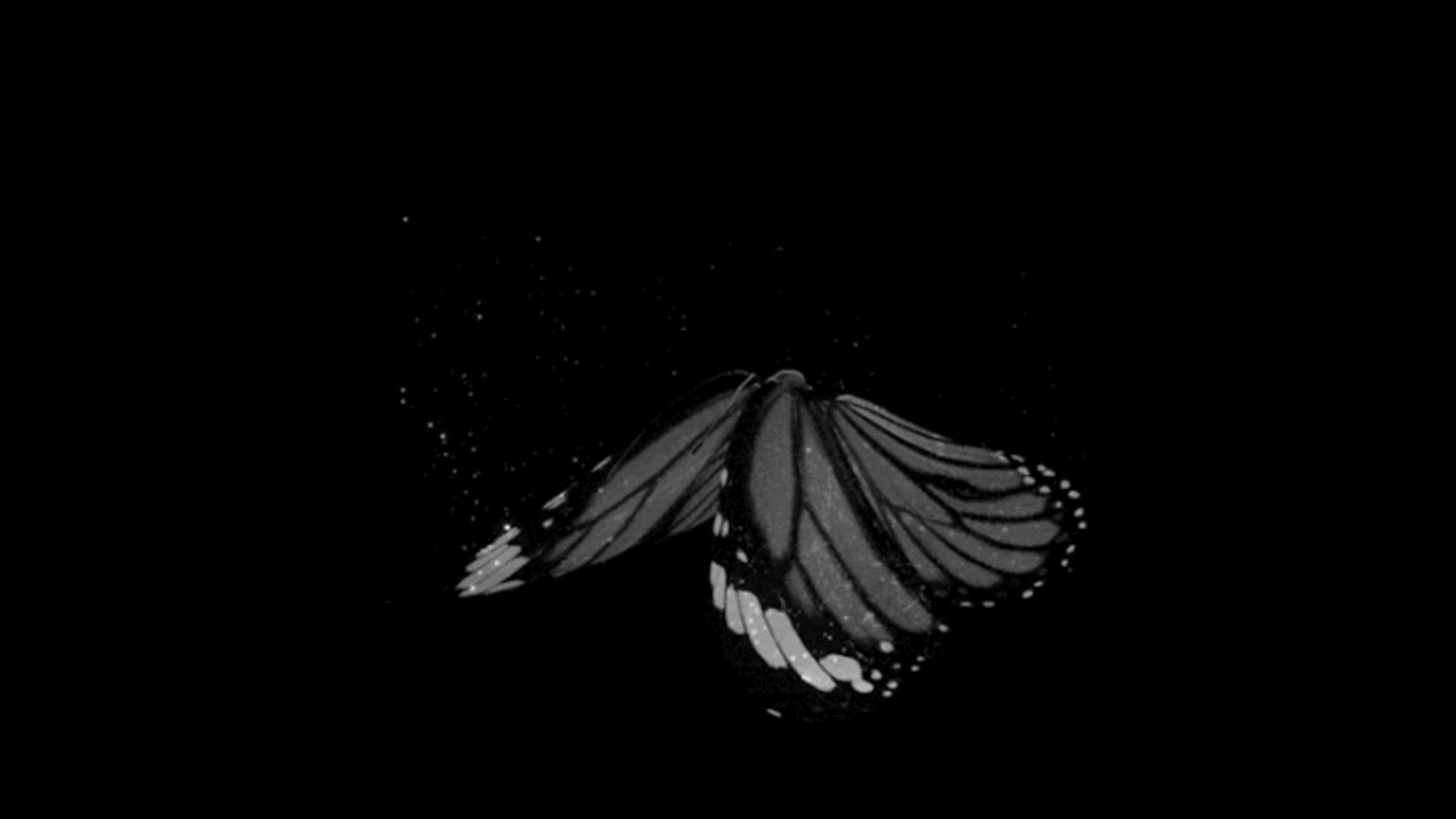 th4_vo1dtwink banner