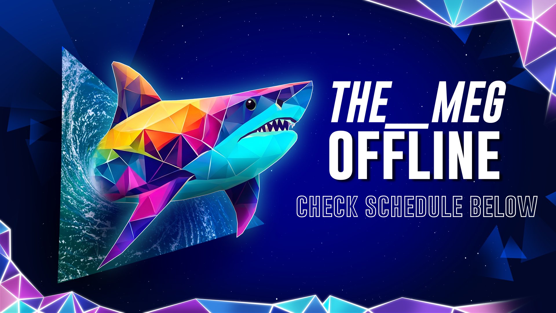 THE__MEG banner