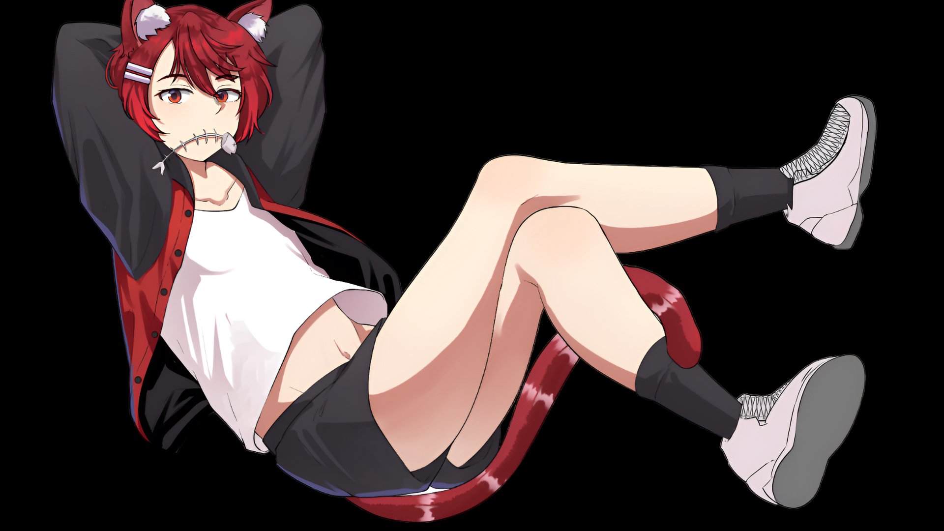 The_Anime_Tor banner