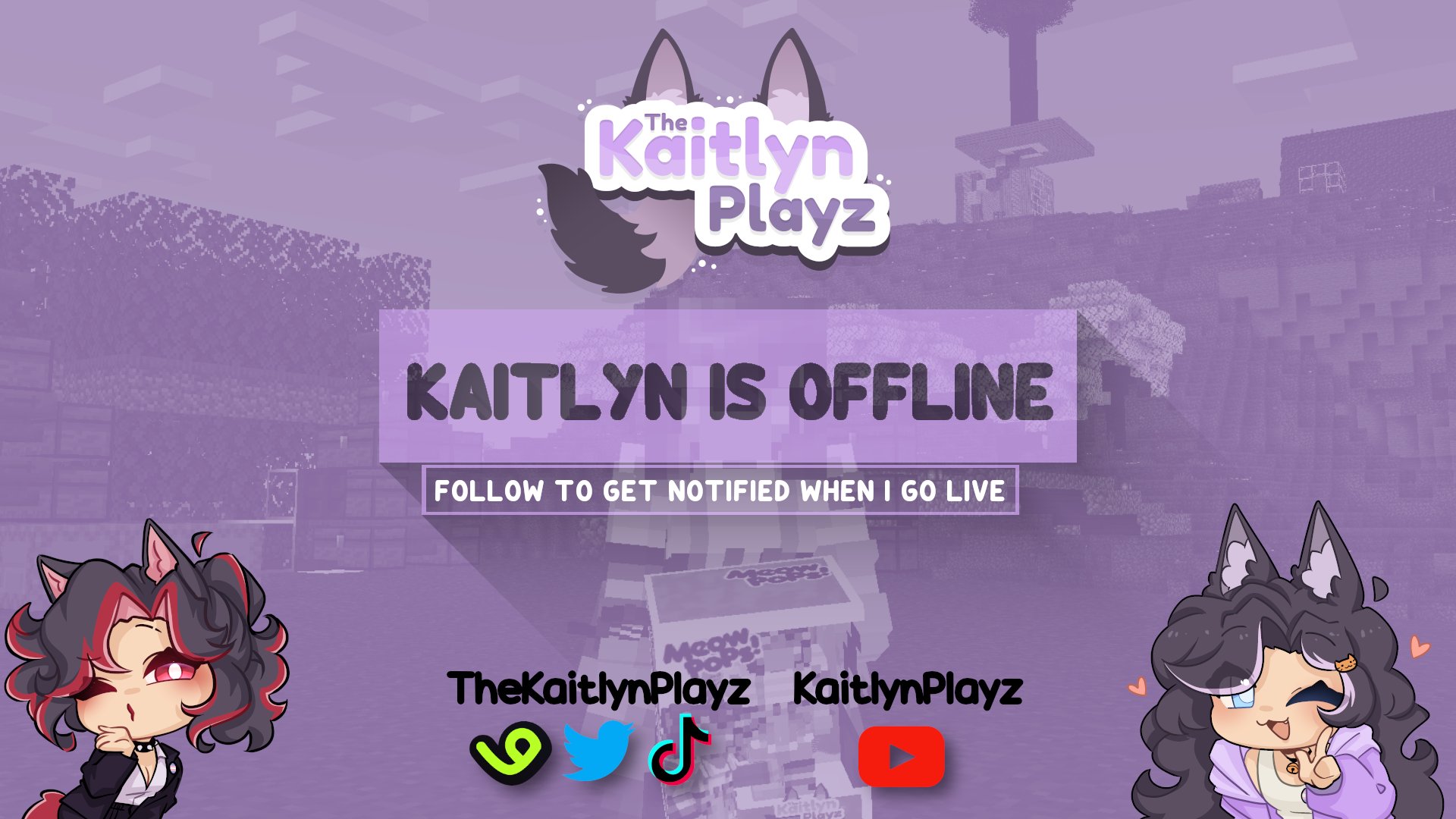 TheKaitlynPlayz banner