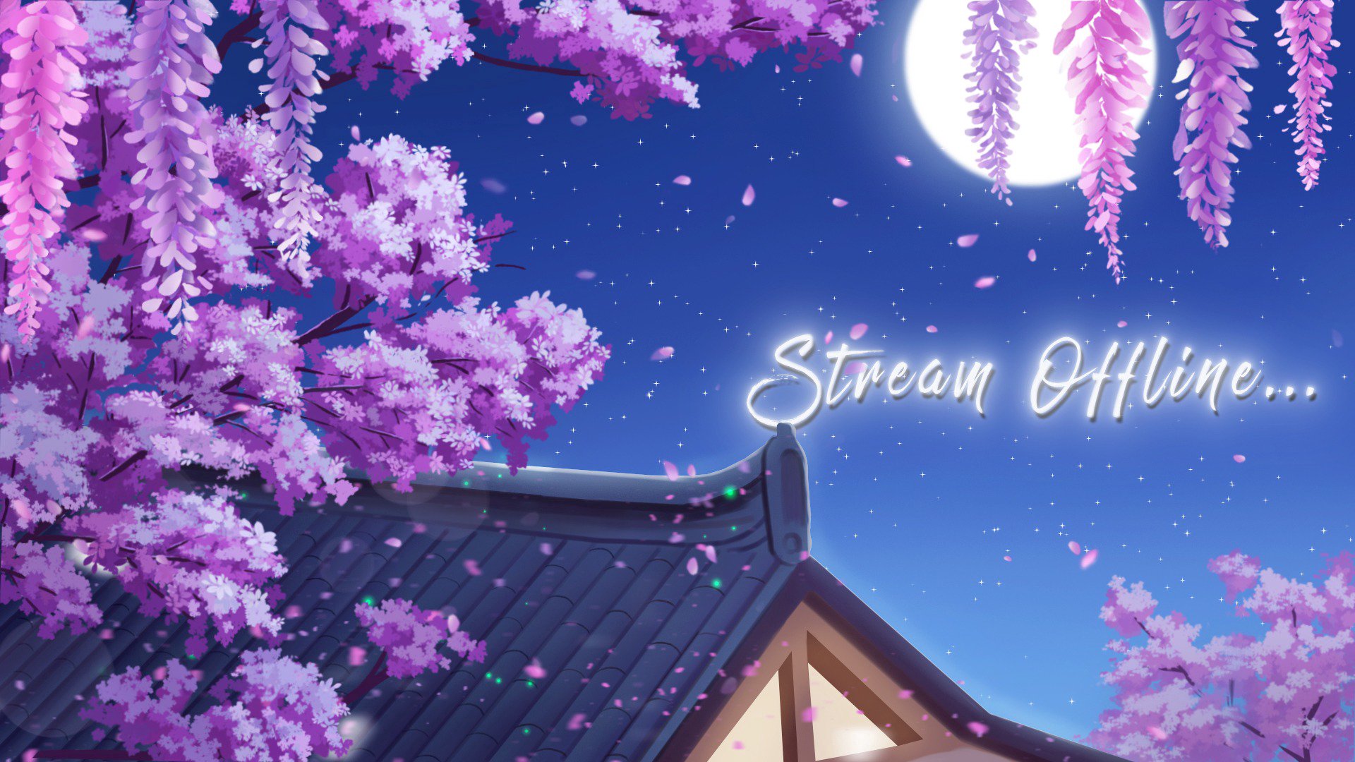 TheLadieHawke banner