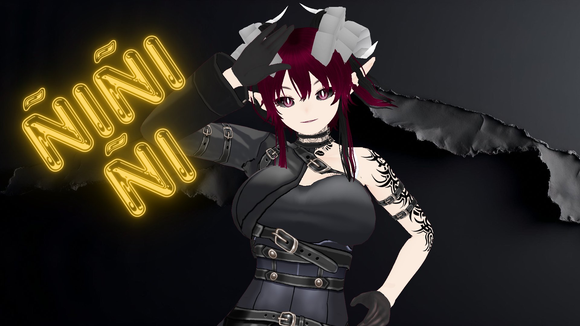 ThePMNK banner