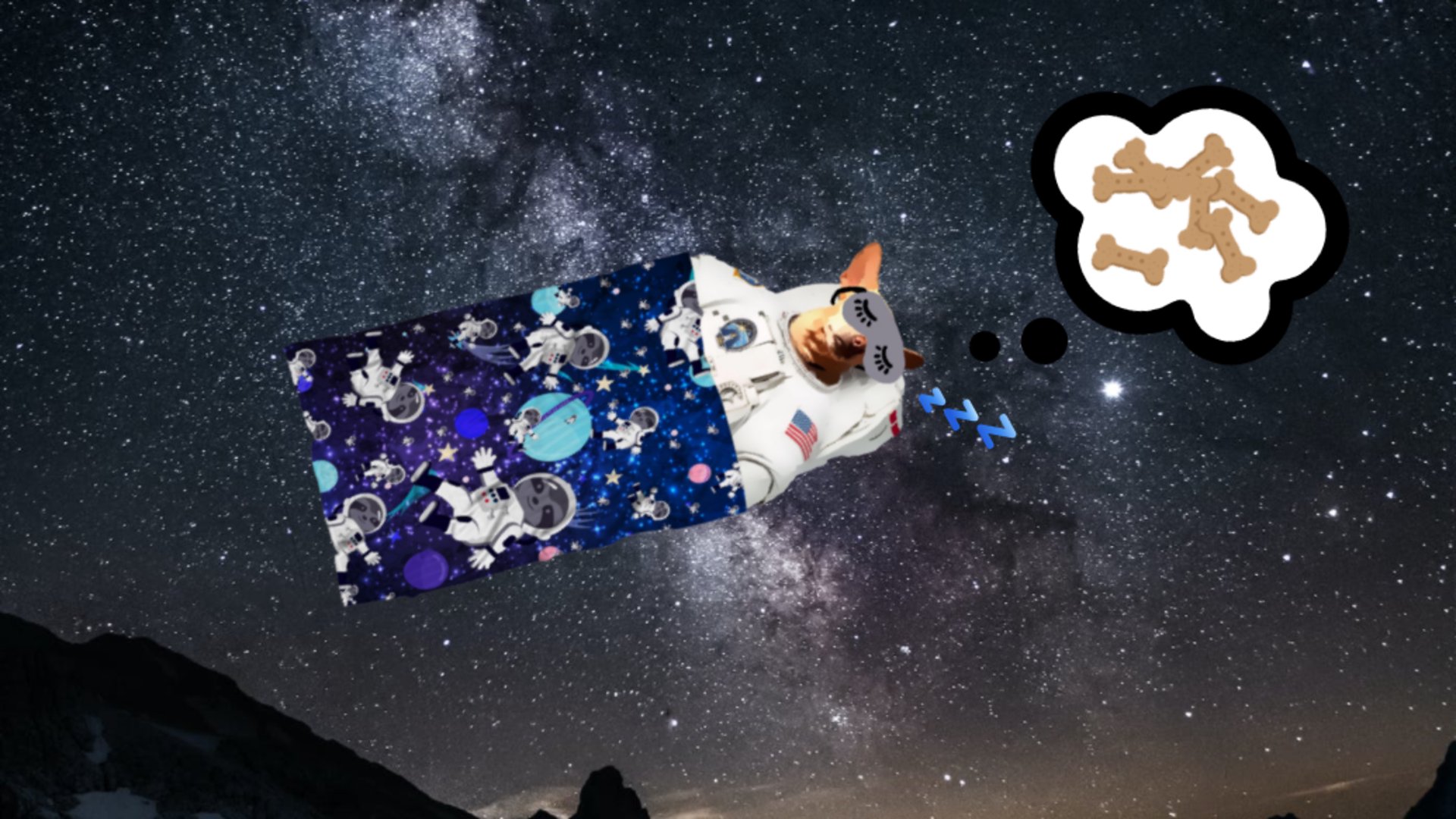 thepocketprince banner