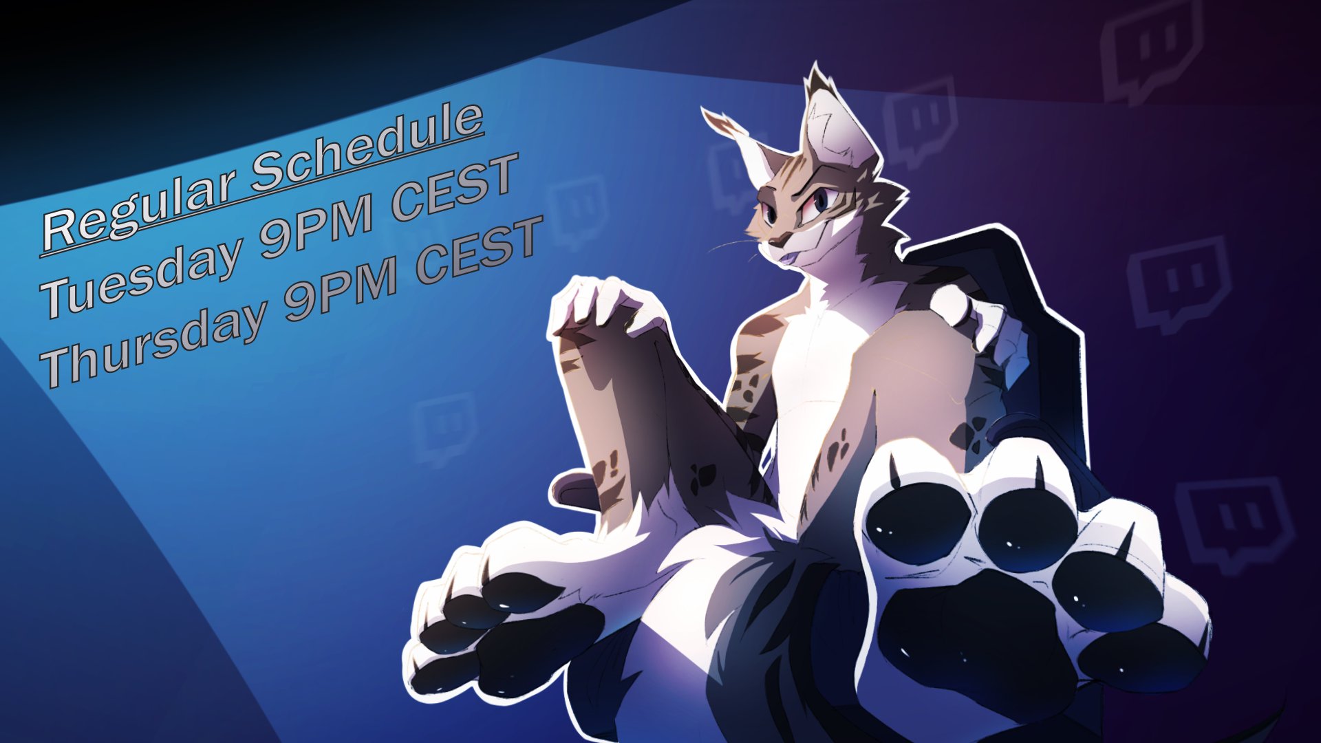 TheRaccoonCat banner