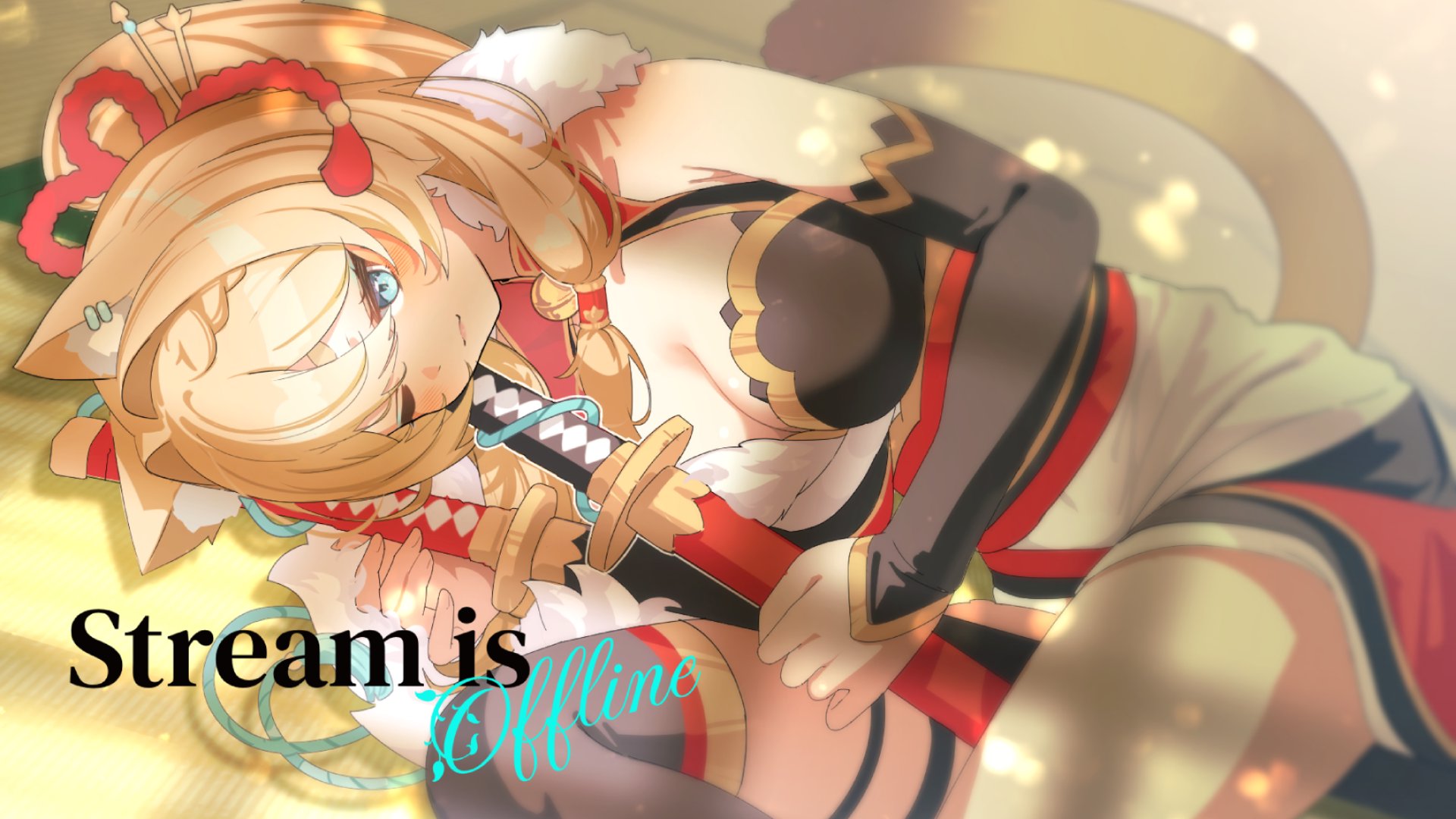 TiaminaTorajima banner