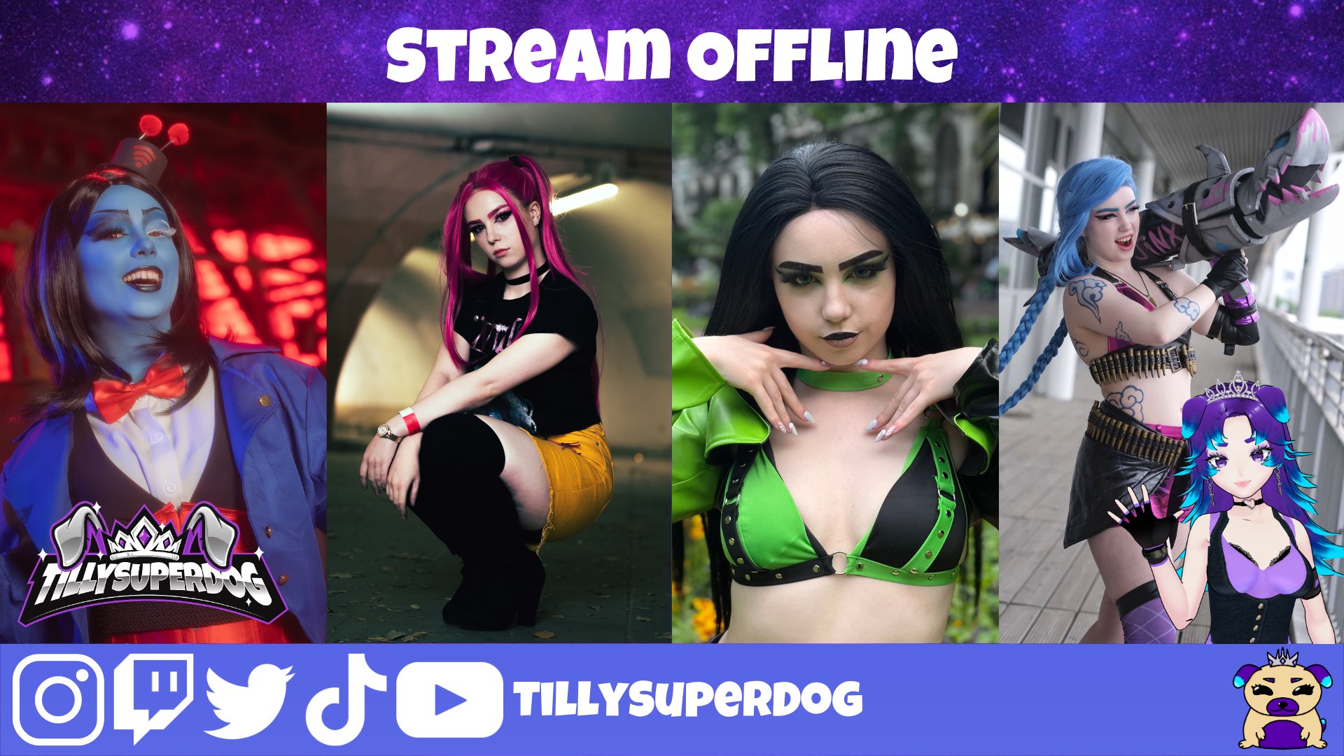 TillySuperDog banner