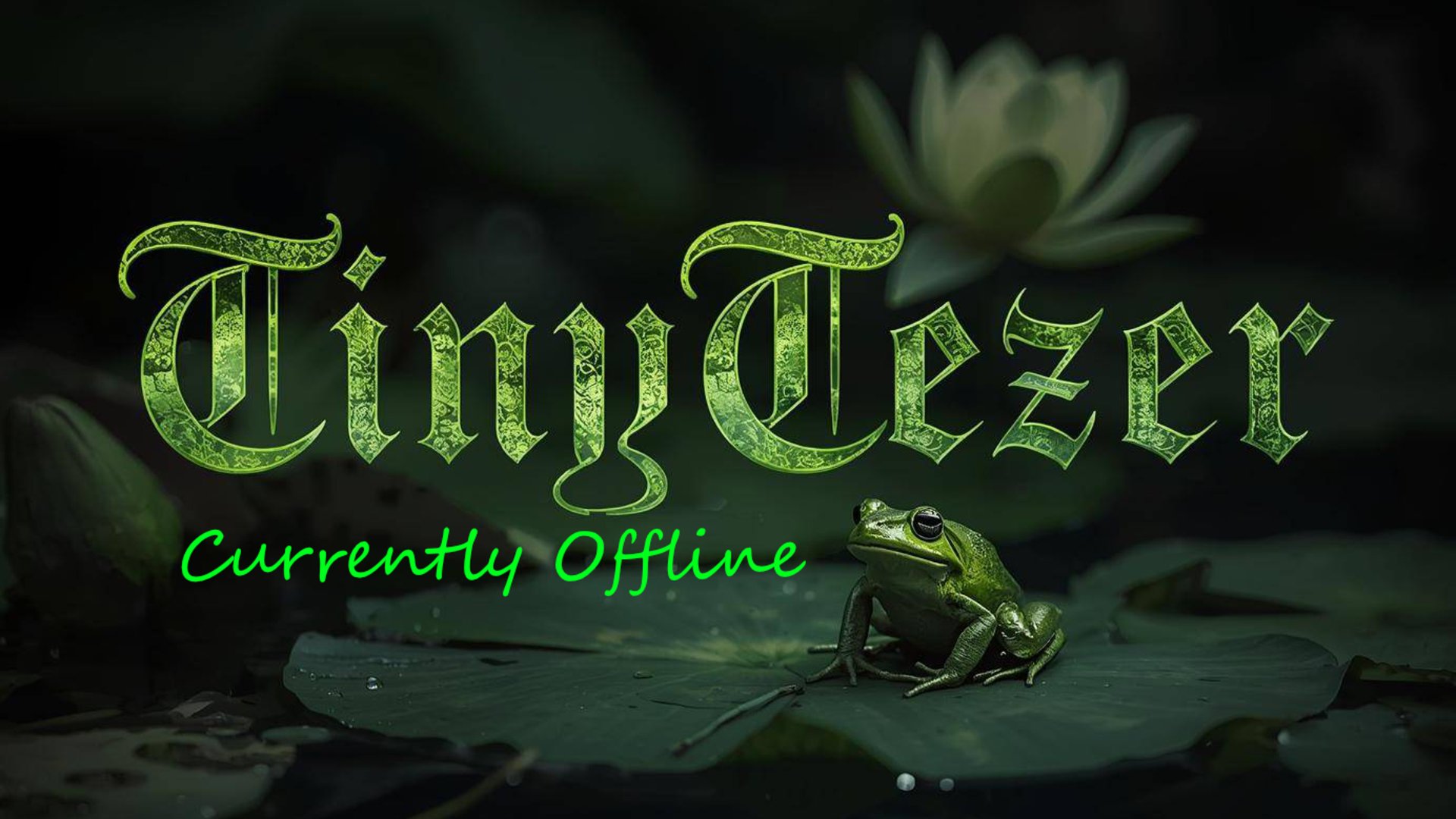 Tinytezer banner