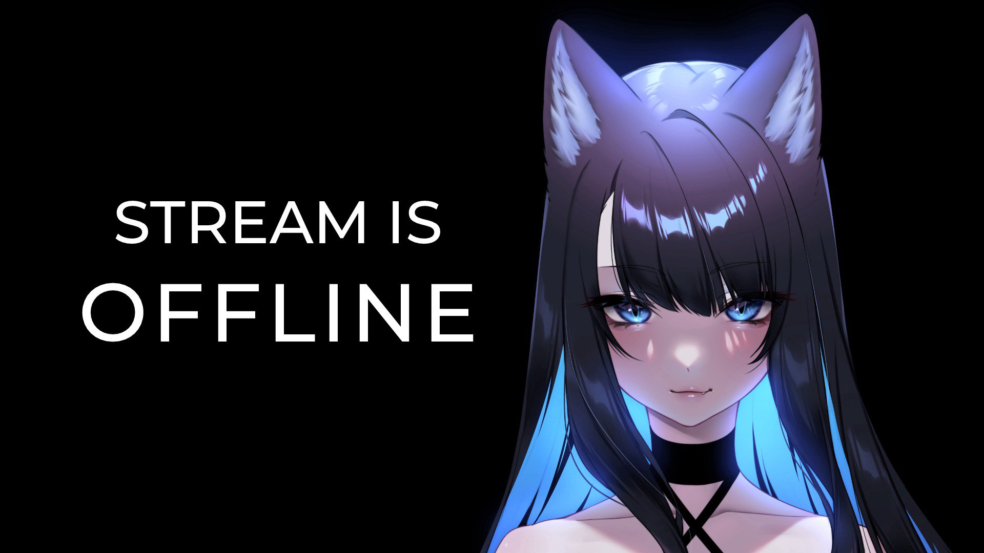 Tofuubear banner