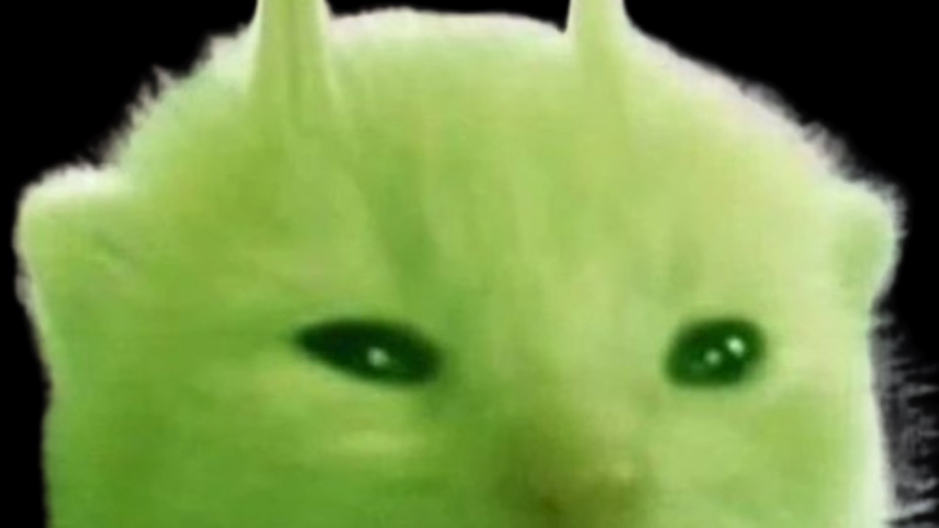 Tomthemadone banner