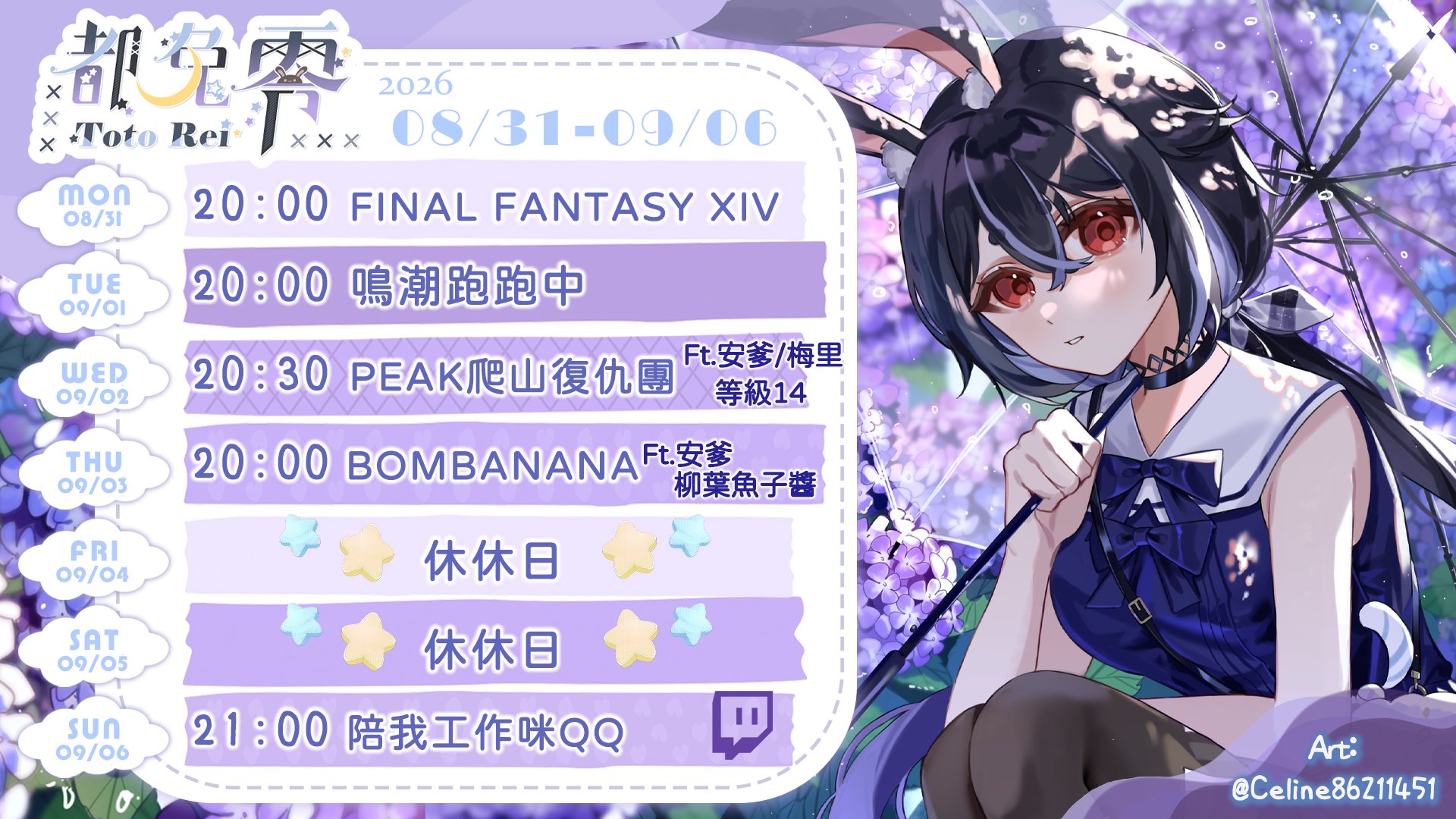 Toto Rei banner