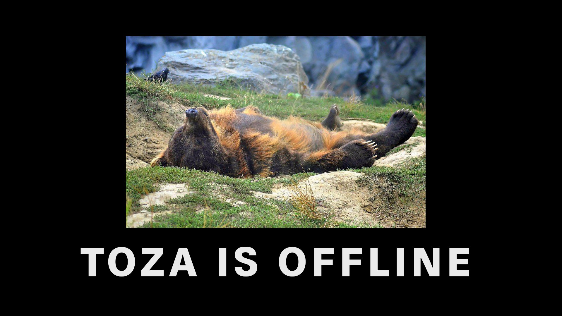 TozaSoftpaw banner