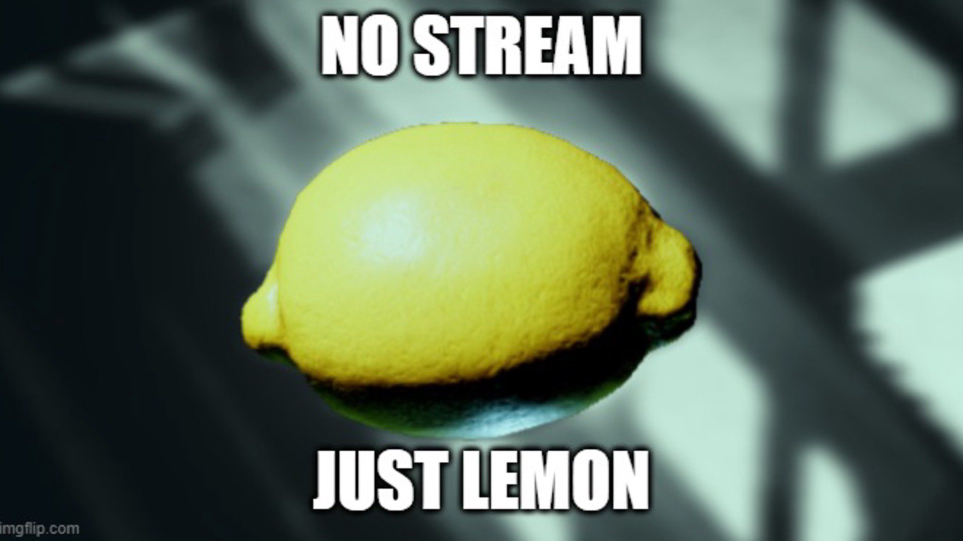 Tuini_ banner
